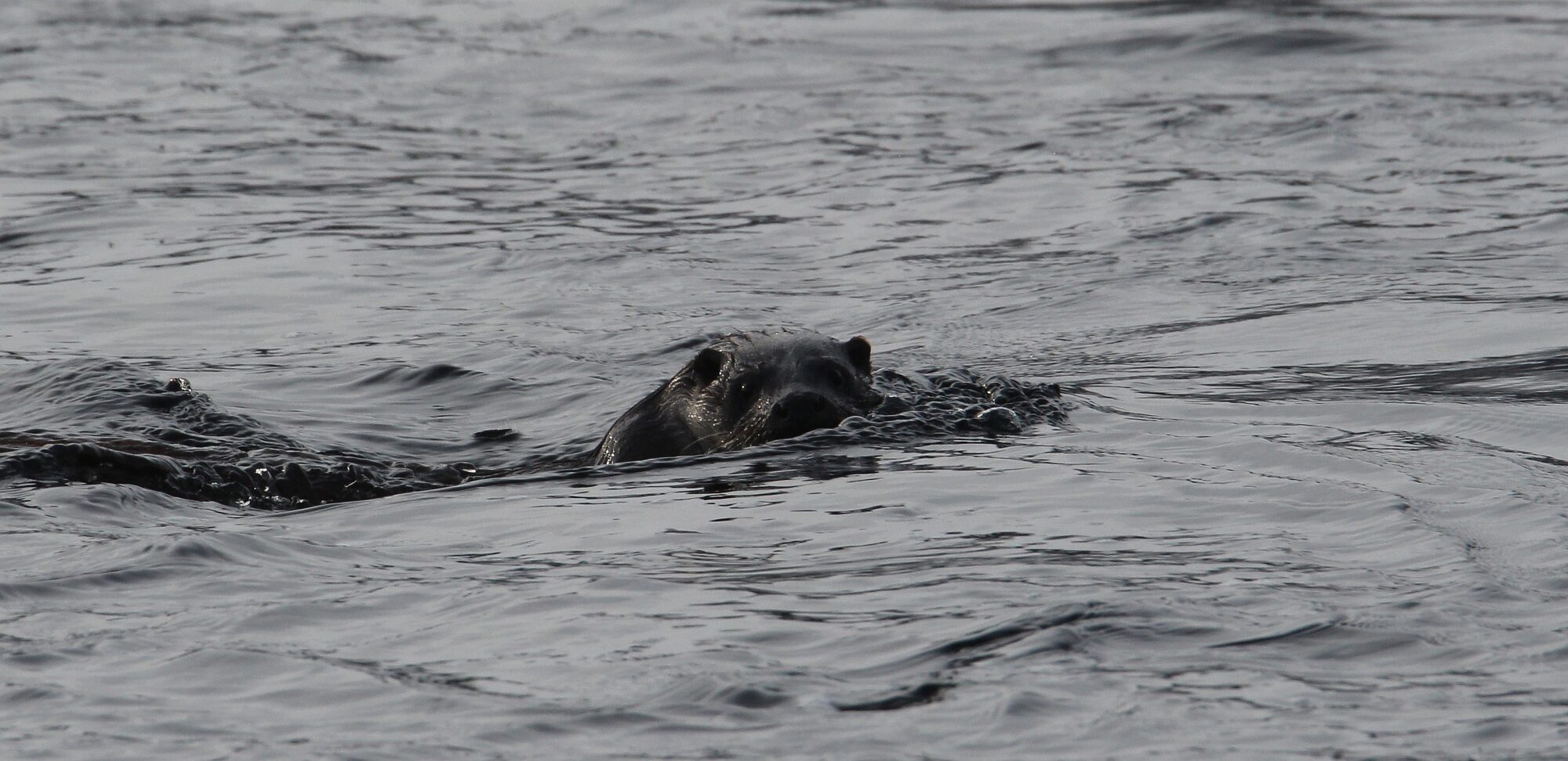 Valokuvaaja: Jaana Saarelainen