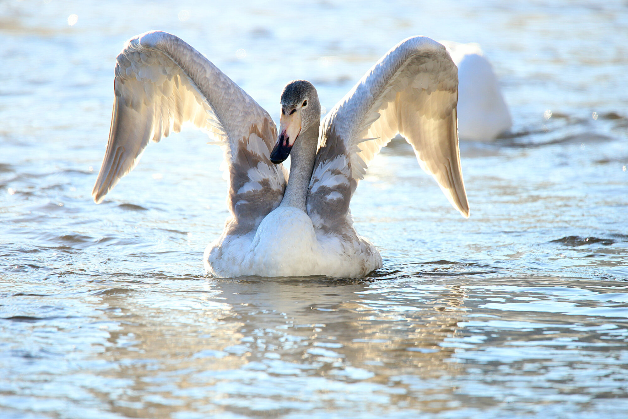 Valokuvaaja: sirpa jyske