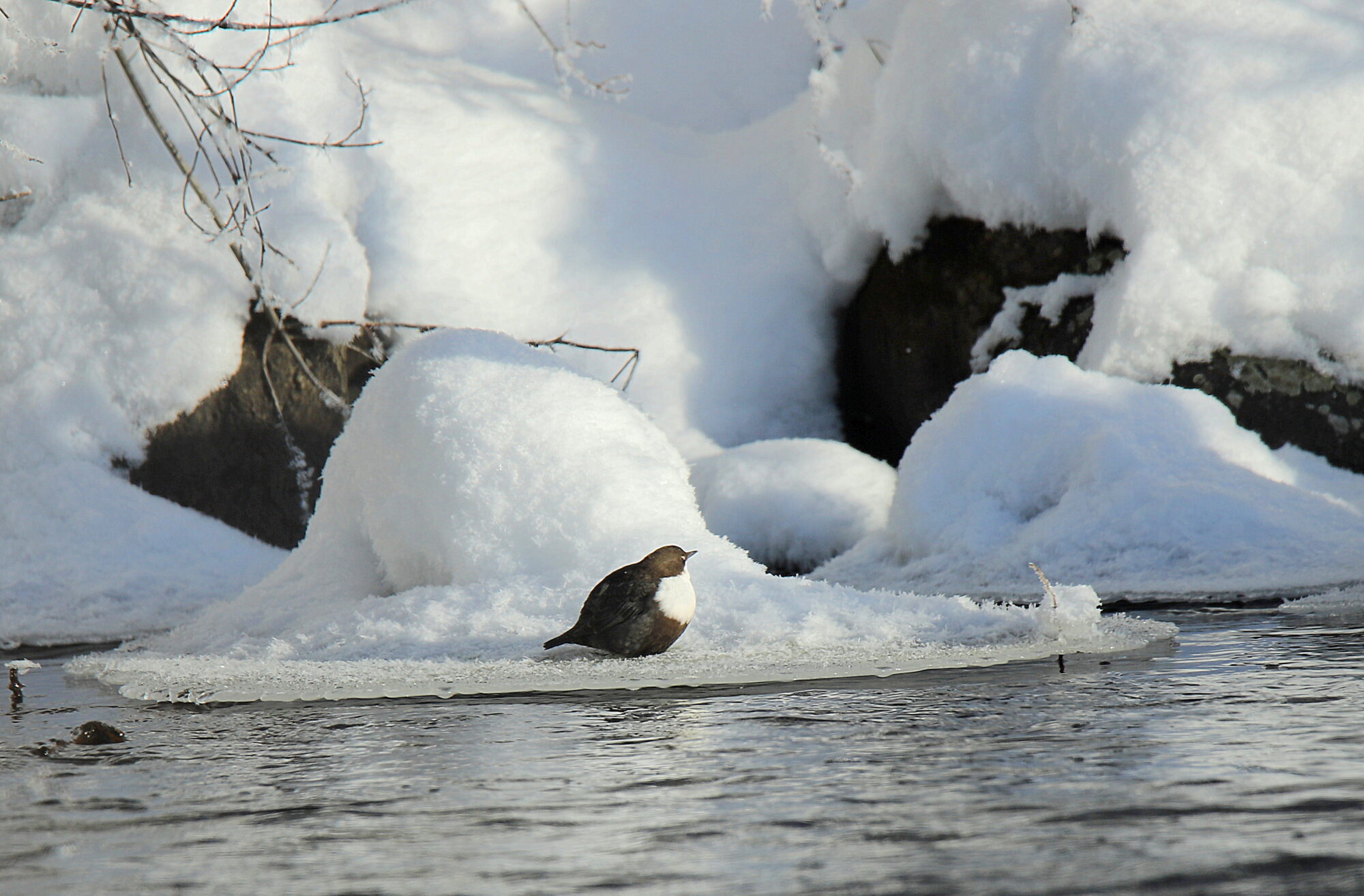 Valokuvaaja: sirpa jyske Valokuvaaja: sirpa jyske