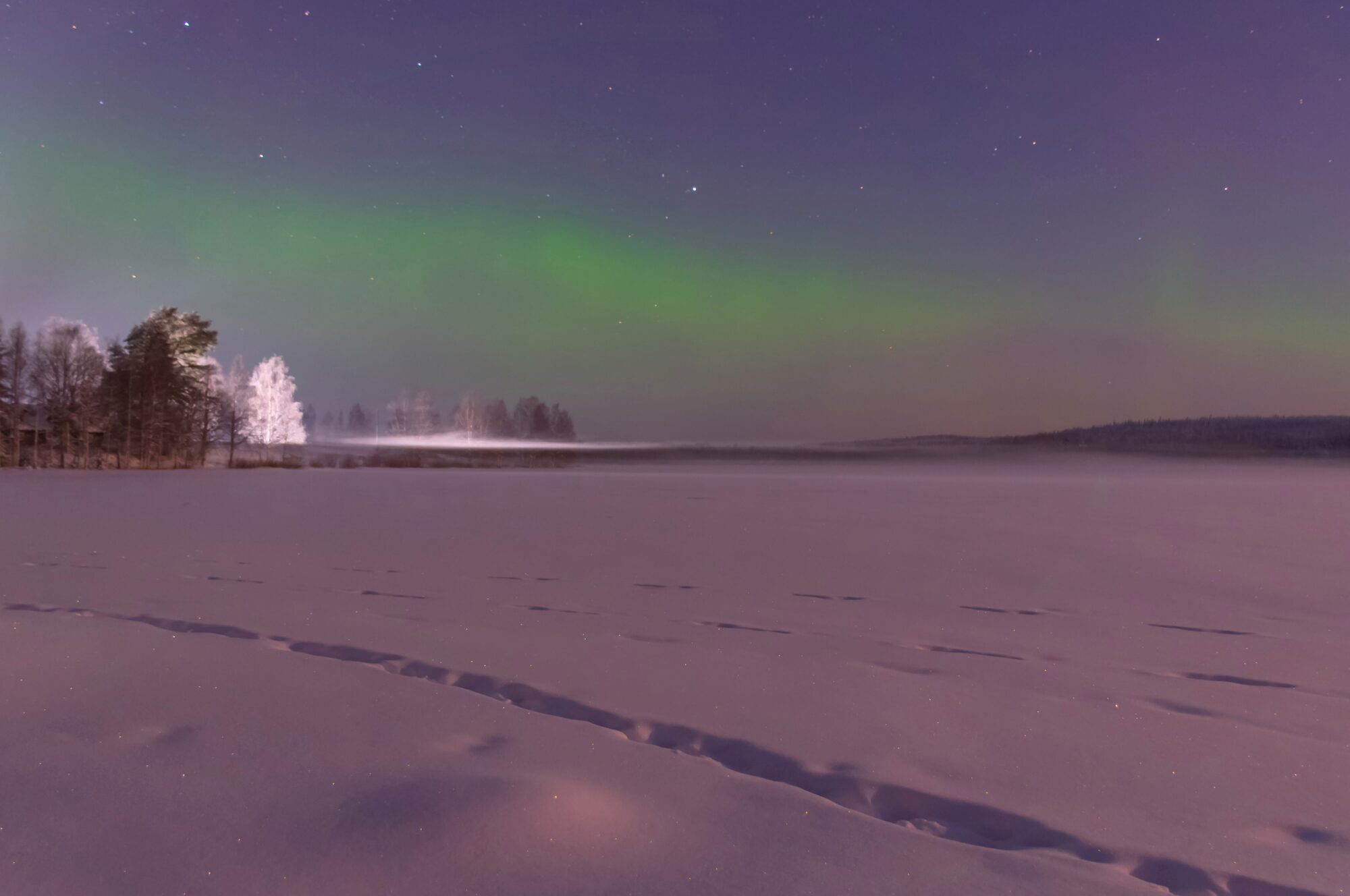 Valokuvaaja: Leena Rissanen
