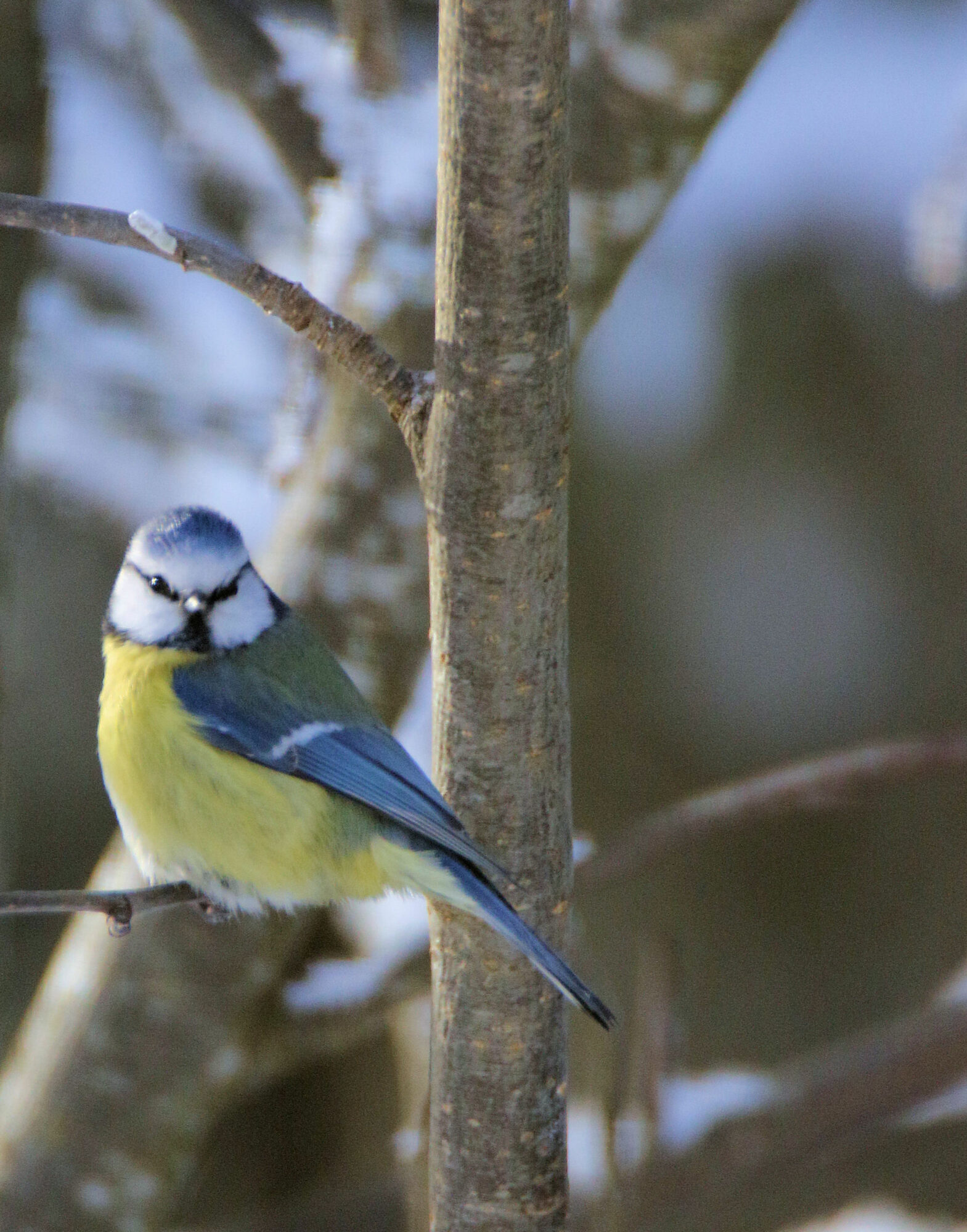 Valokuvaaja: Ahti Keränen