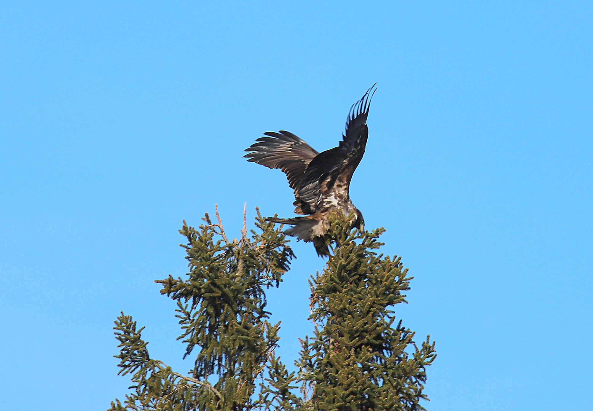 Valokuvaaja: sirpa jyske