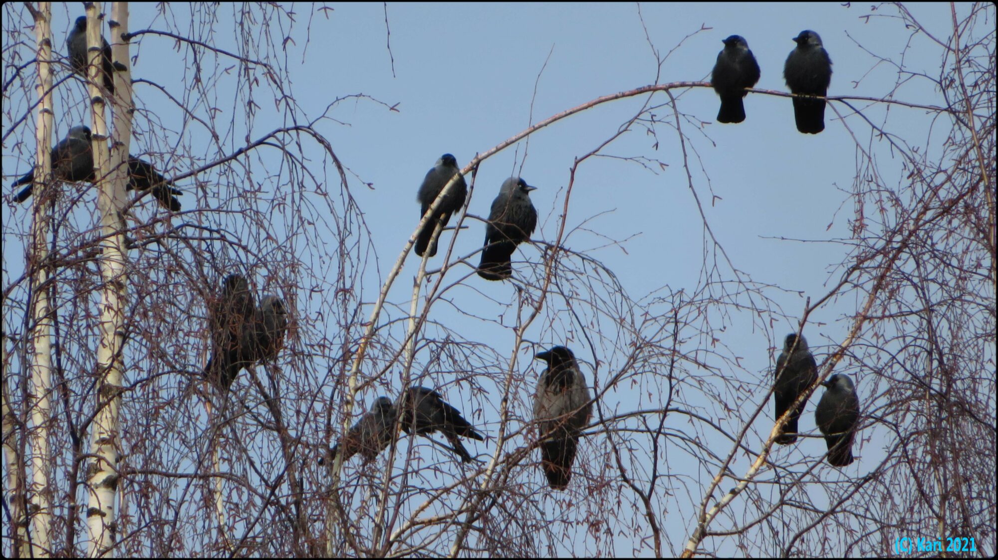 Valokuvaaja: Kari Saarinen