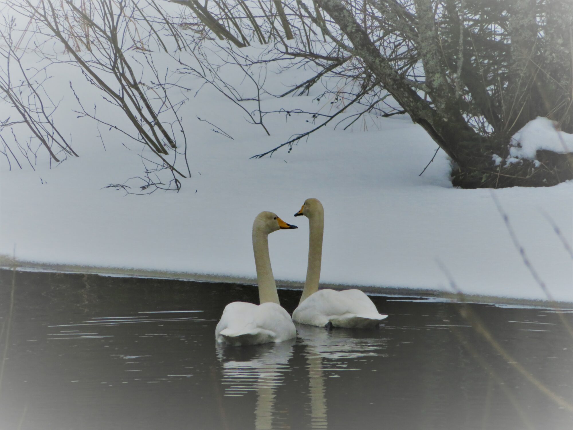 Valokuvaaja: Mari Ahtola