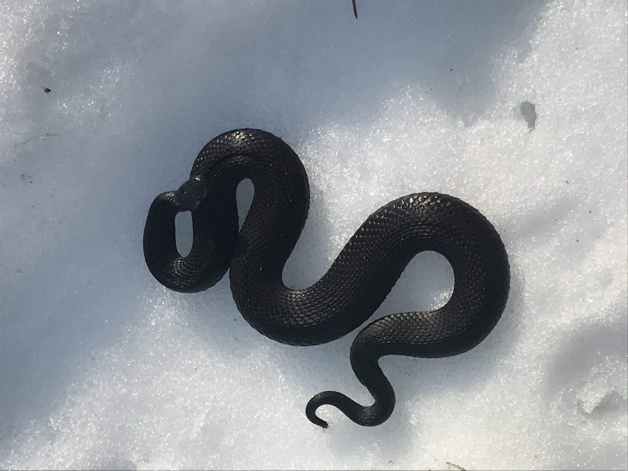 Valokuvaaja: Susanna Suvimaa