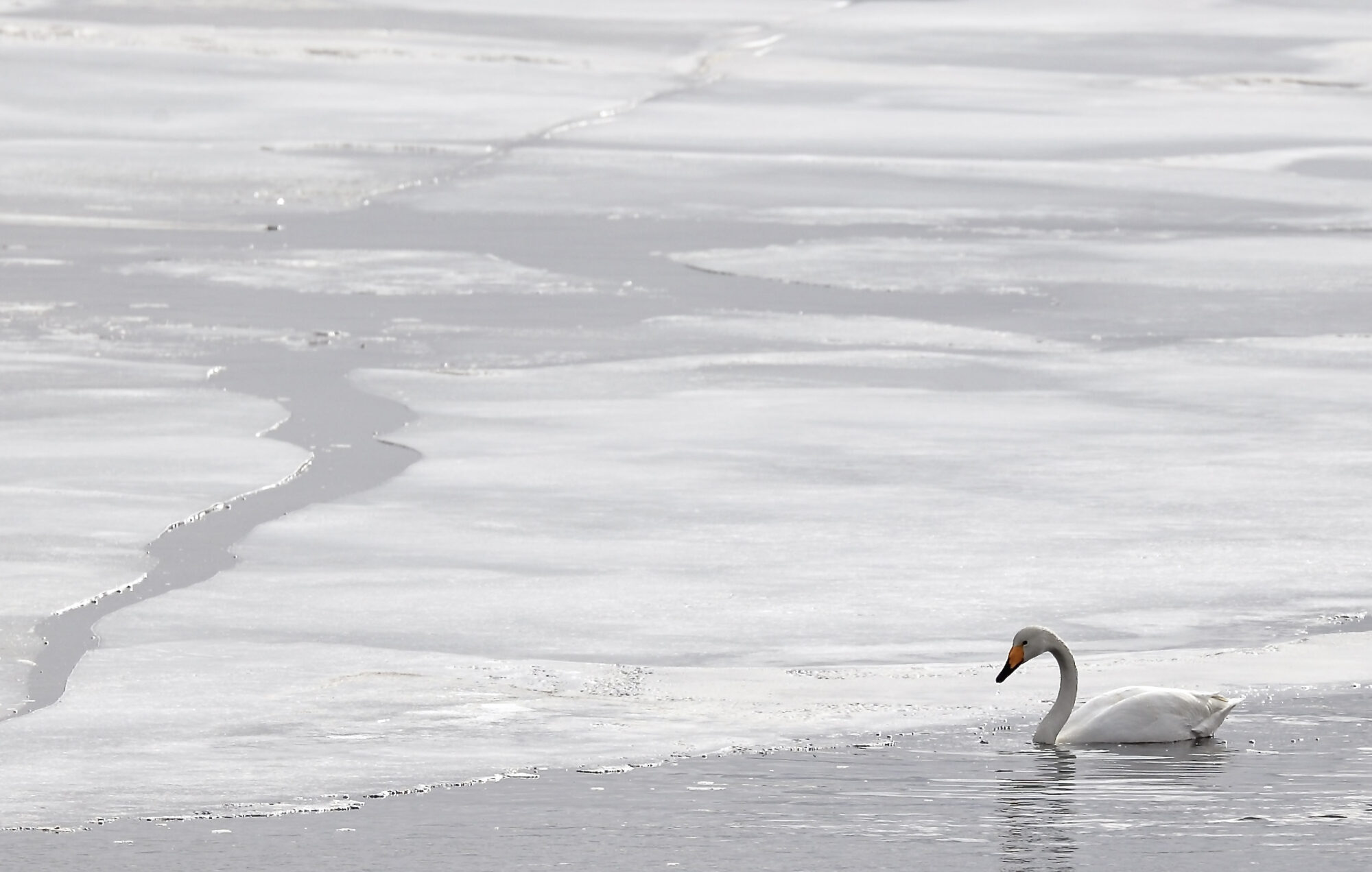 Valokuvaaja: Ari Branthin