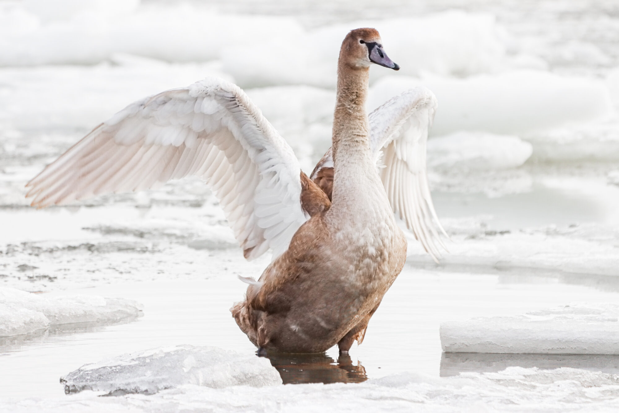 Valokuvaaja: Tomi Heikkonen