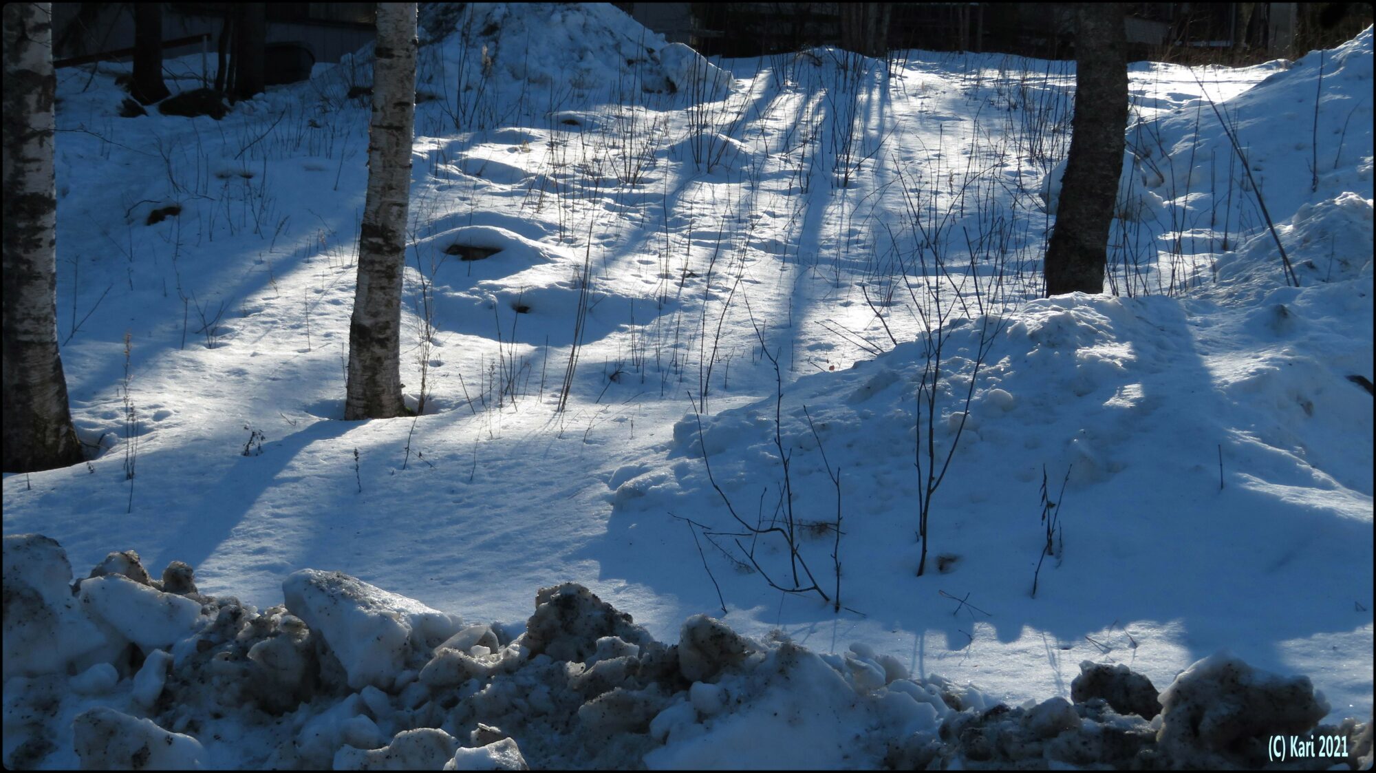 Valokuvaaja: Kari Saarinen Valokuvaaja: Kari Saarinen