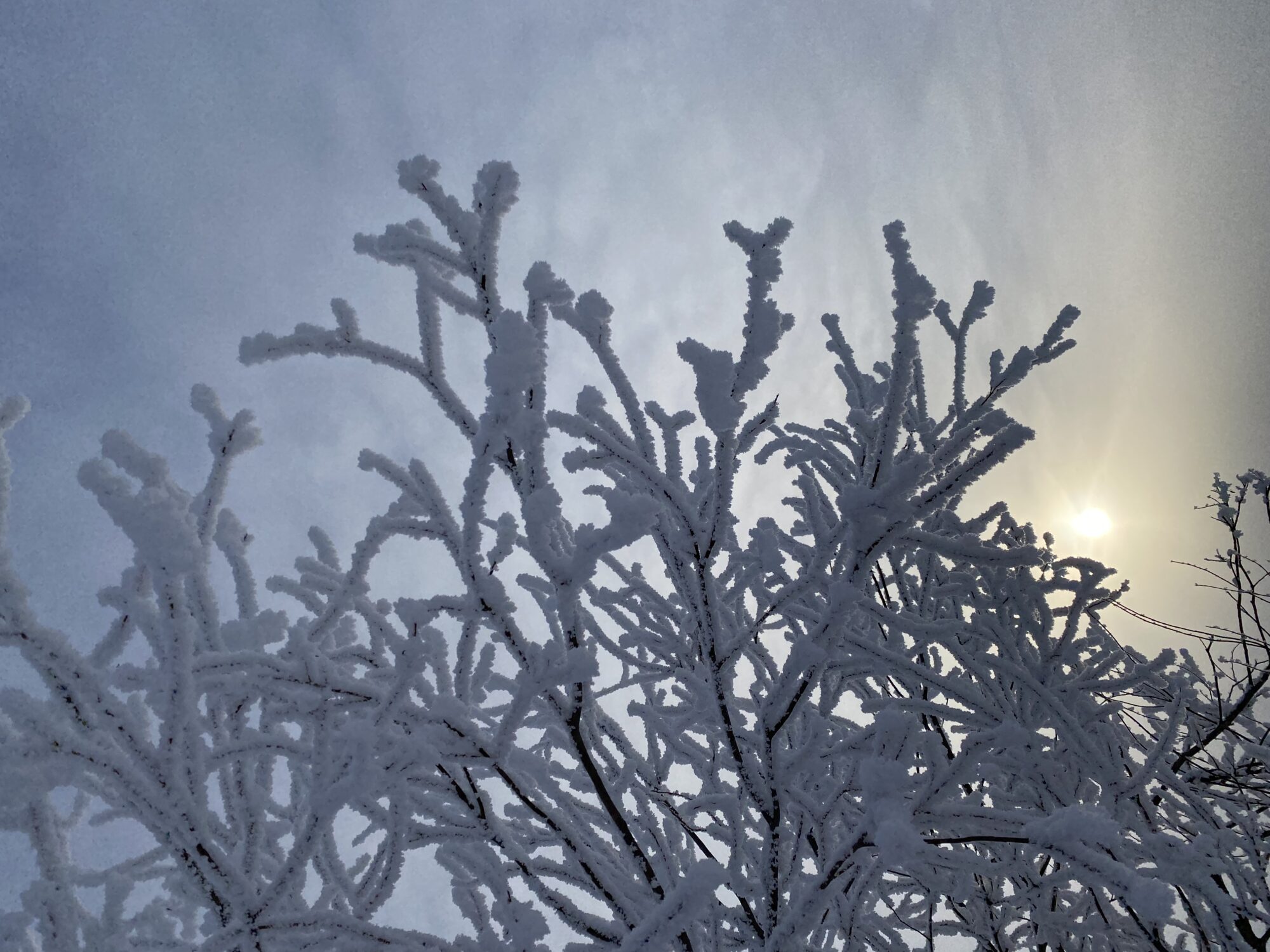 Valokuvaaja: Katariina Simula