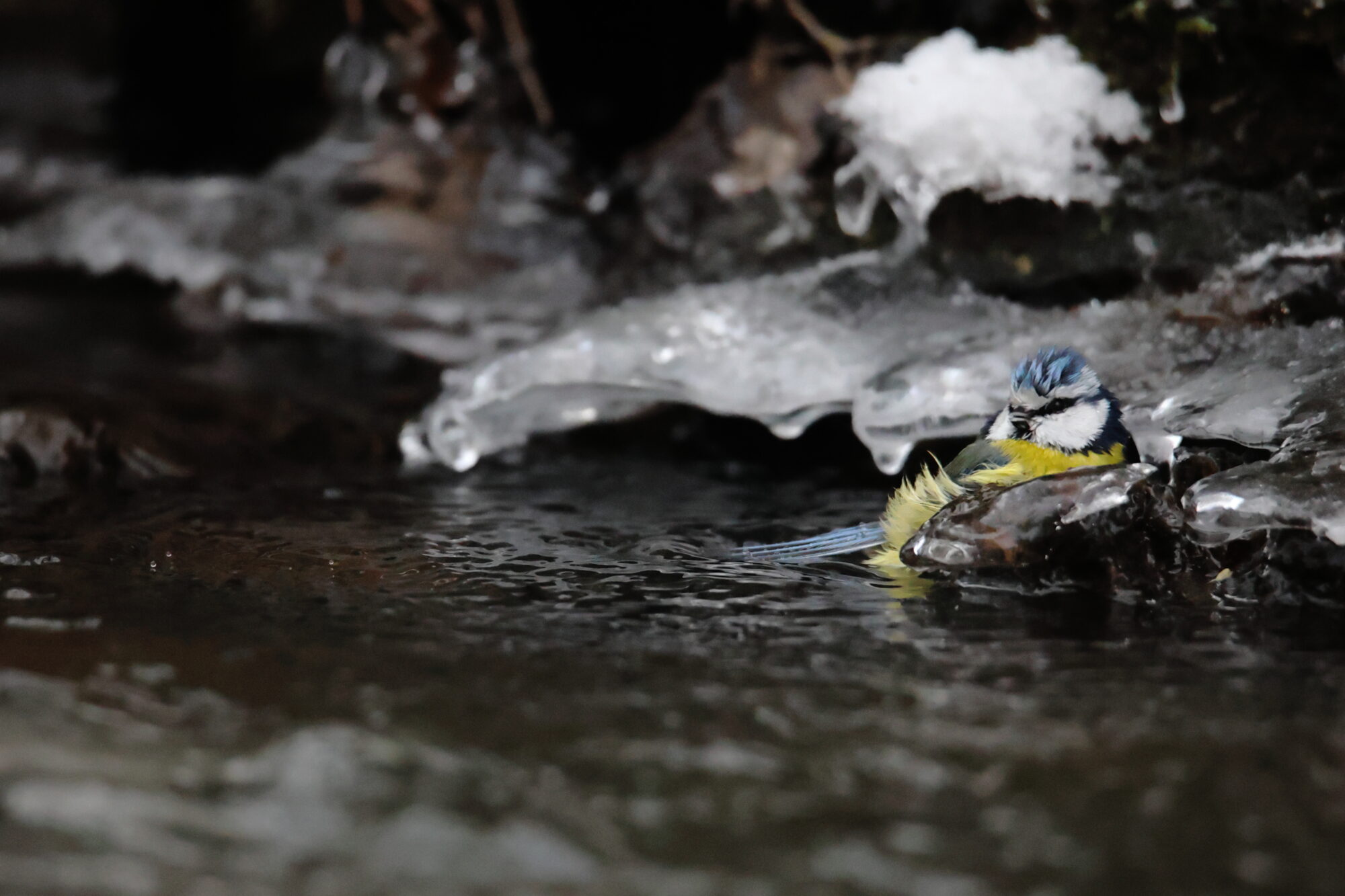 Valokuvaaja: Janne Salomeri