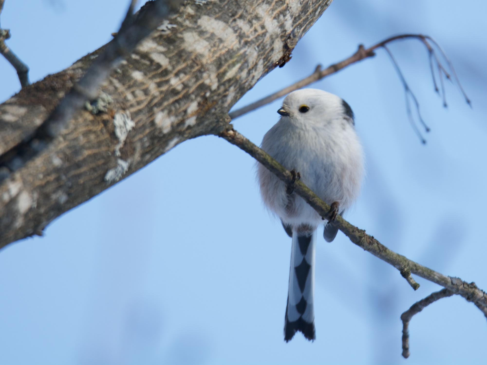 Valokuvaaja: Markku Pietinen Valokuvaaja: Markku Pietinen