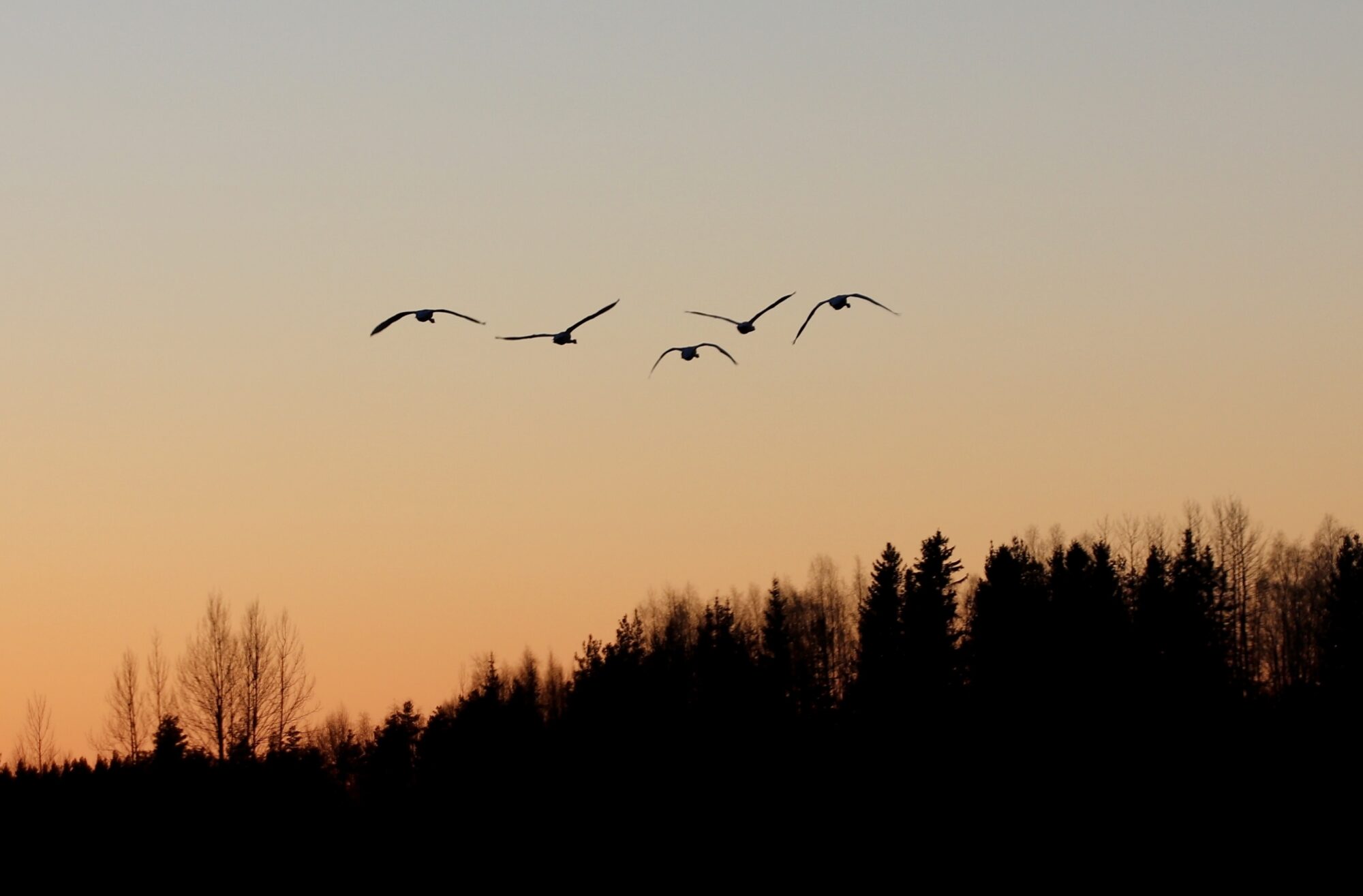 Valokuvaaja: Eveliina Koivisto