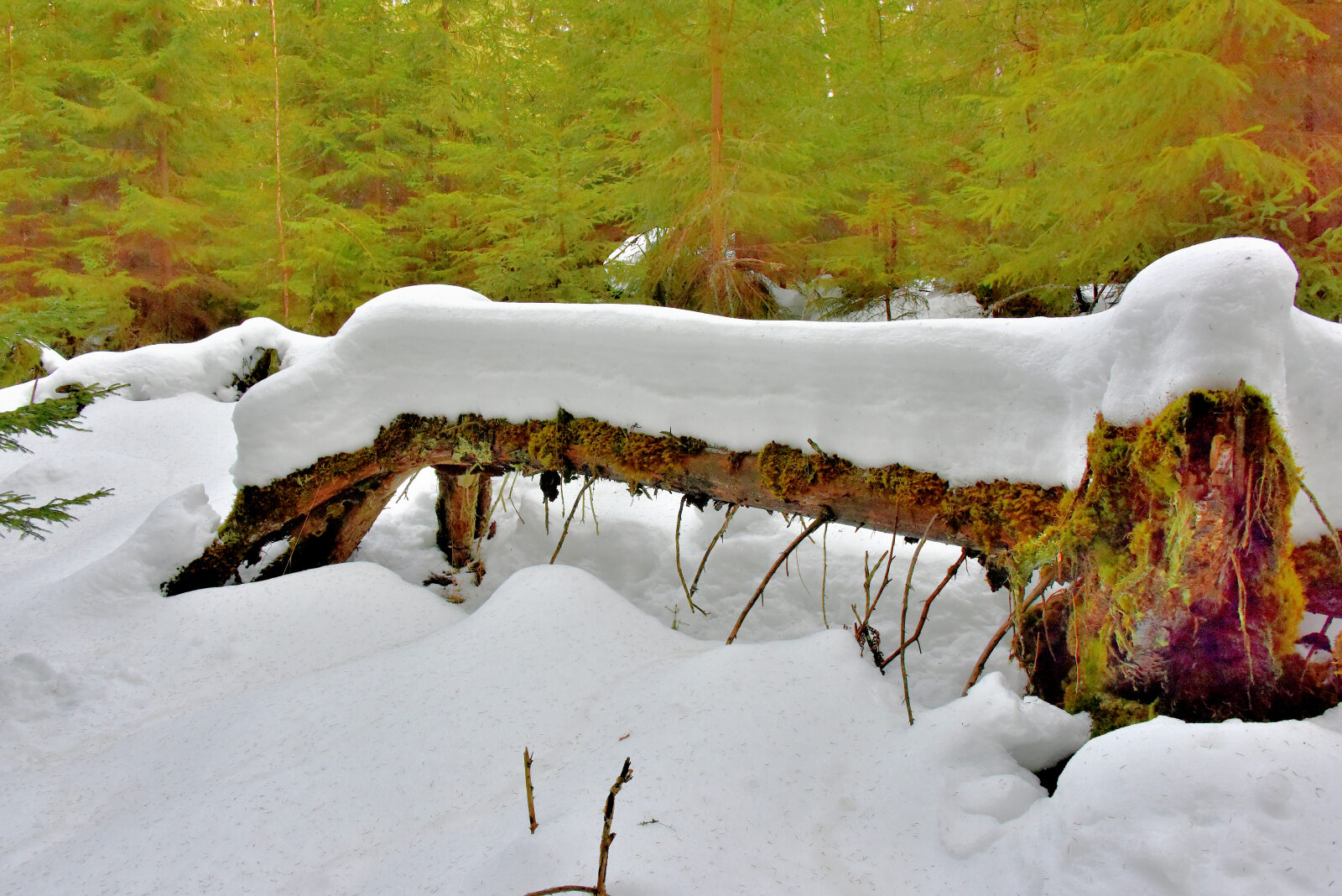 Valokuvaaja: Reijo Juurinen