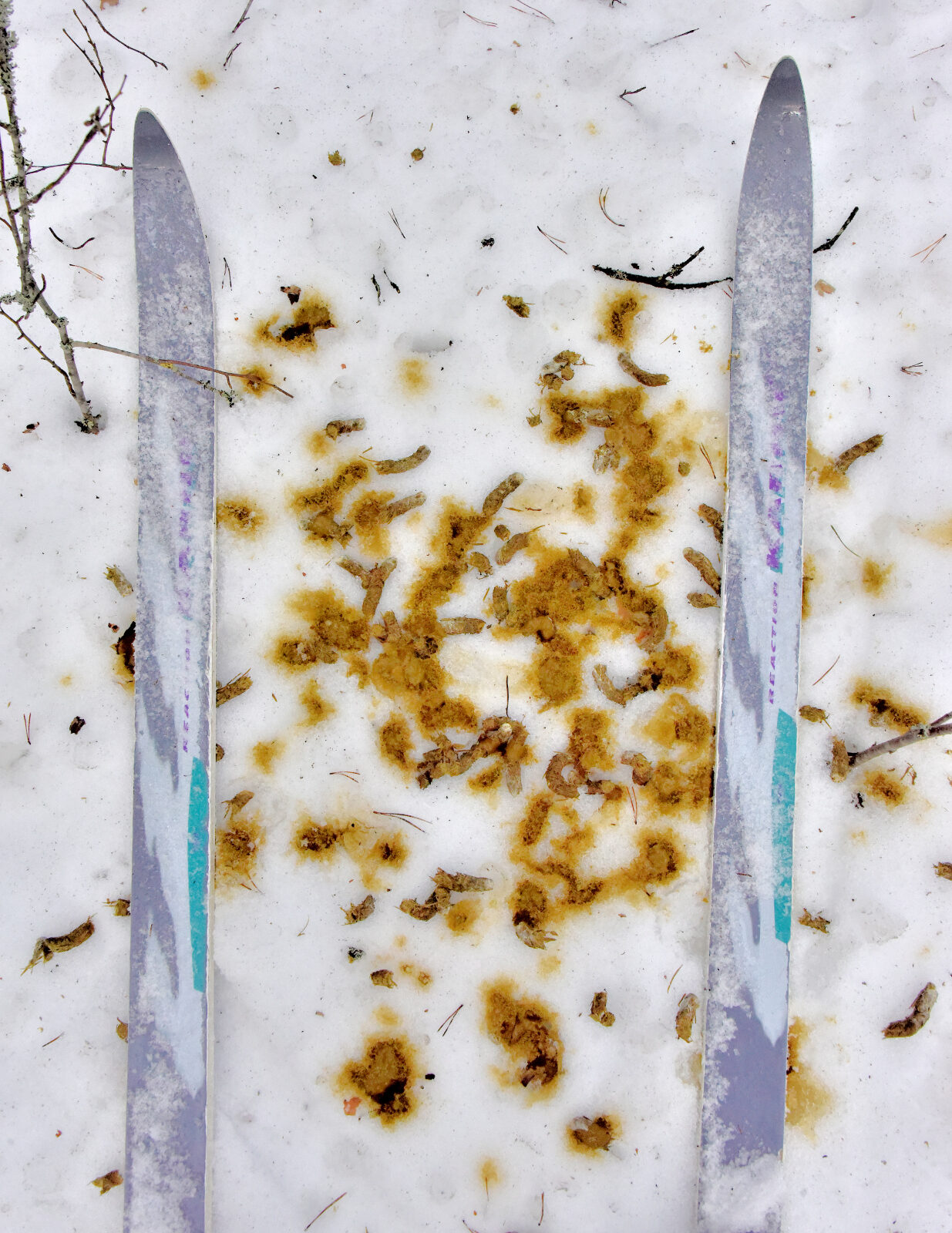 Valokuvaaja: Reijo Juurinen