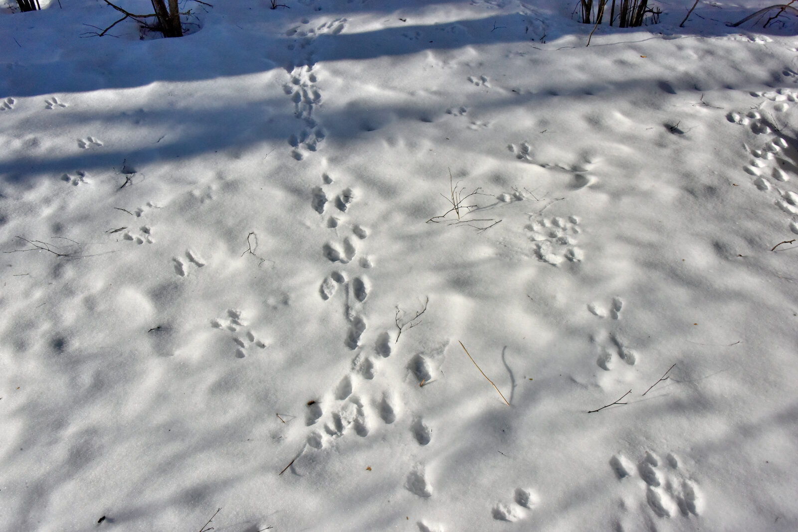 Valokuvaaja: Reijo Juurinen