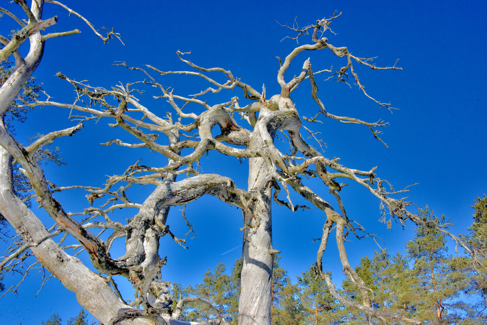 Valokuvaaja: Reijo Juurinen