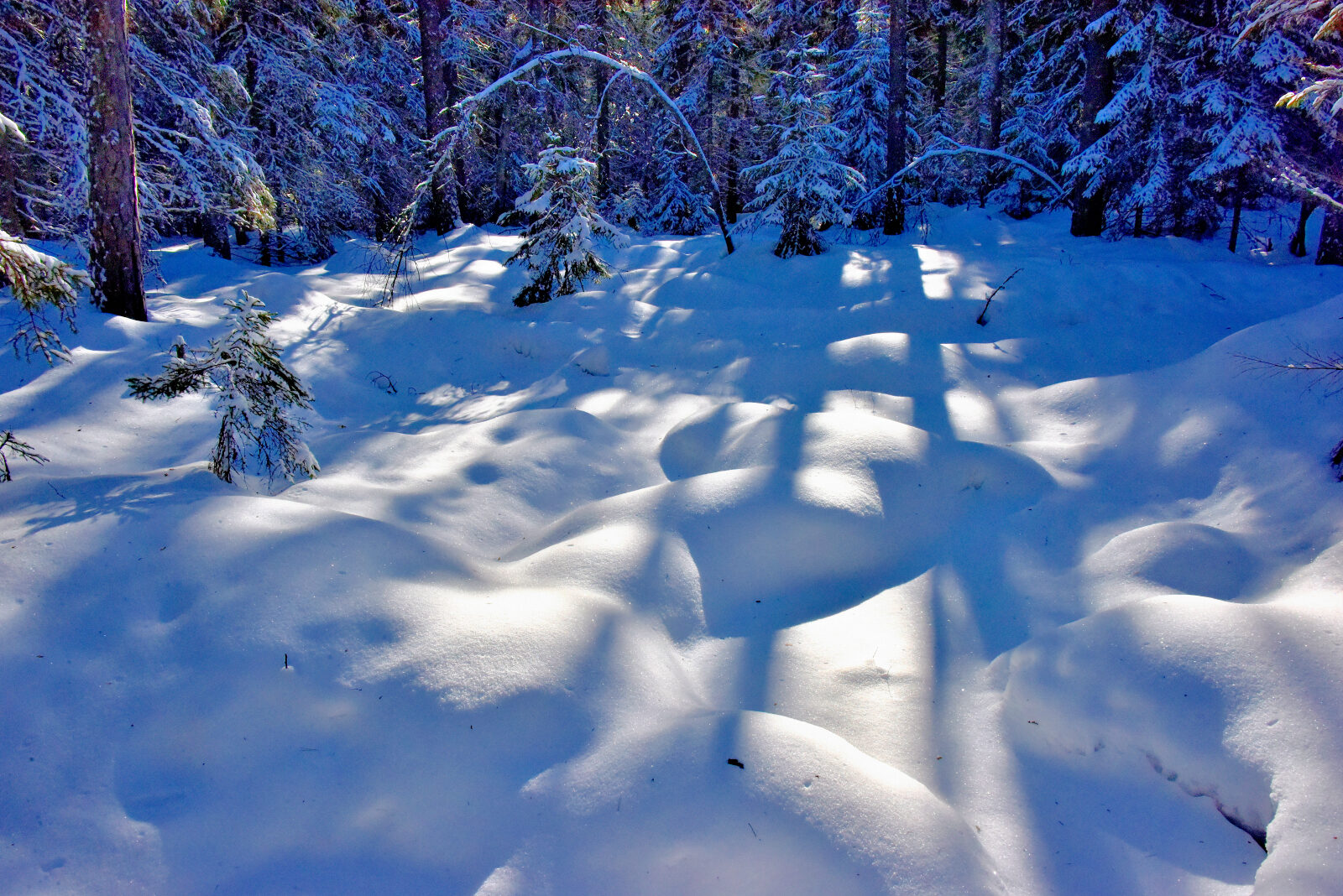 Valokuvaaja: Reijo Juurinen