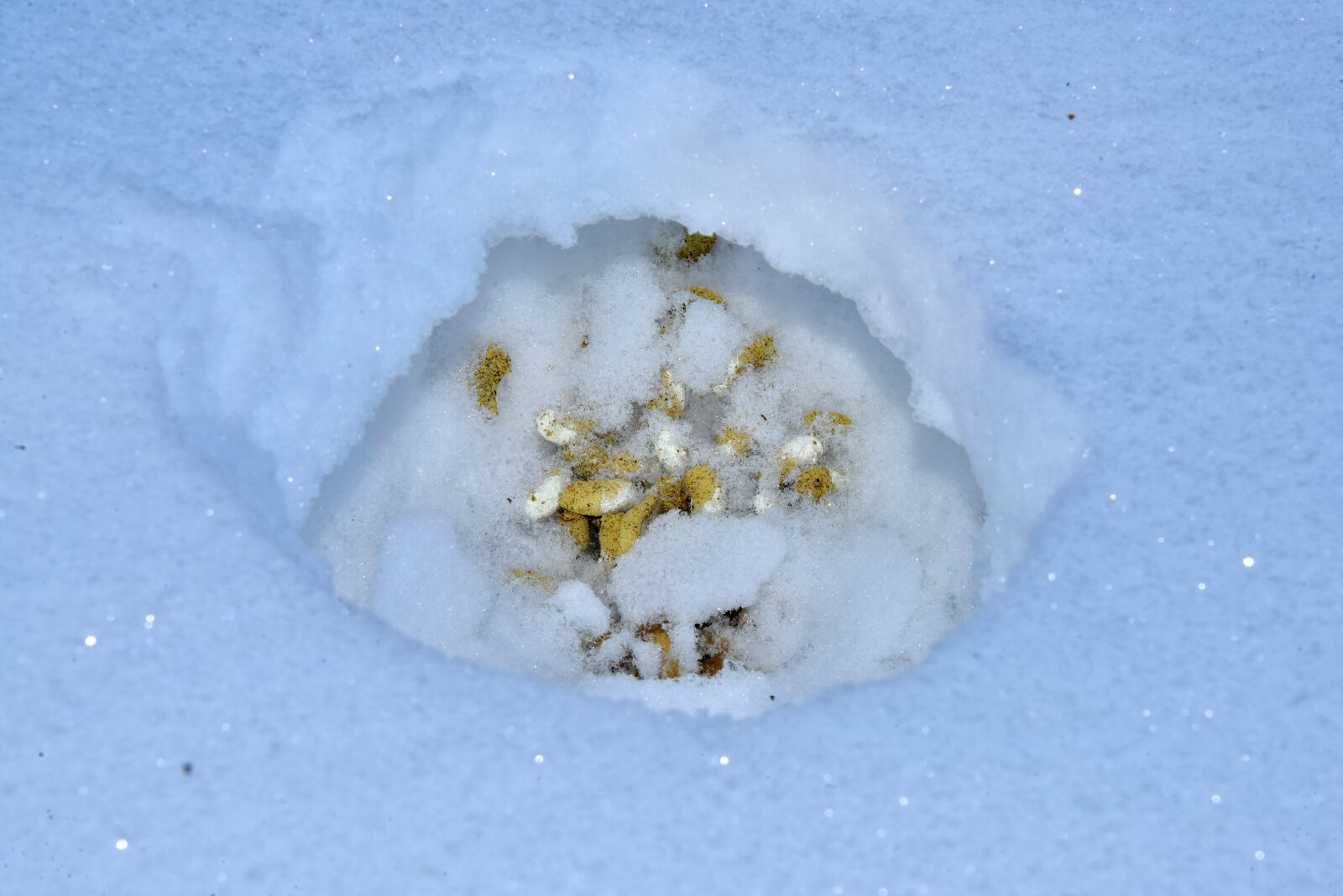 Valokuvaaja: Reijo Juurinen