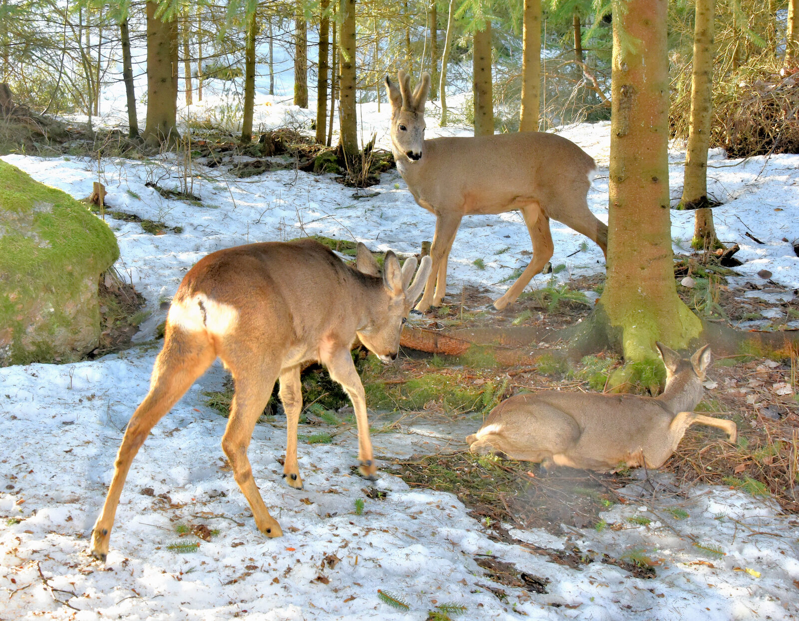 Valokuvaaja: Reijo Juurinen