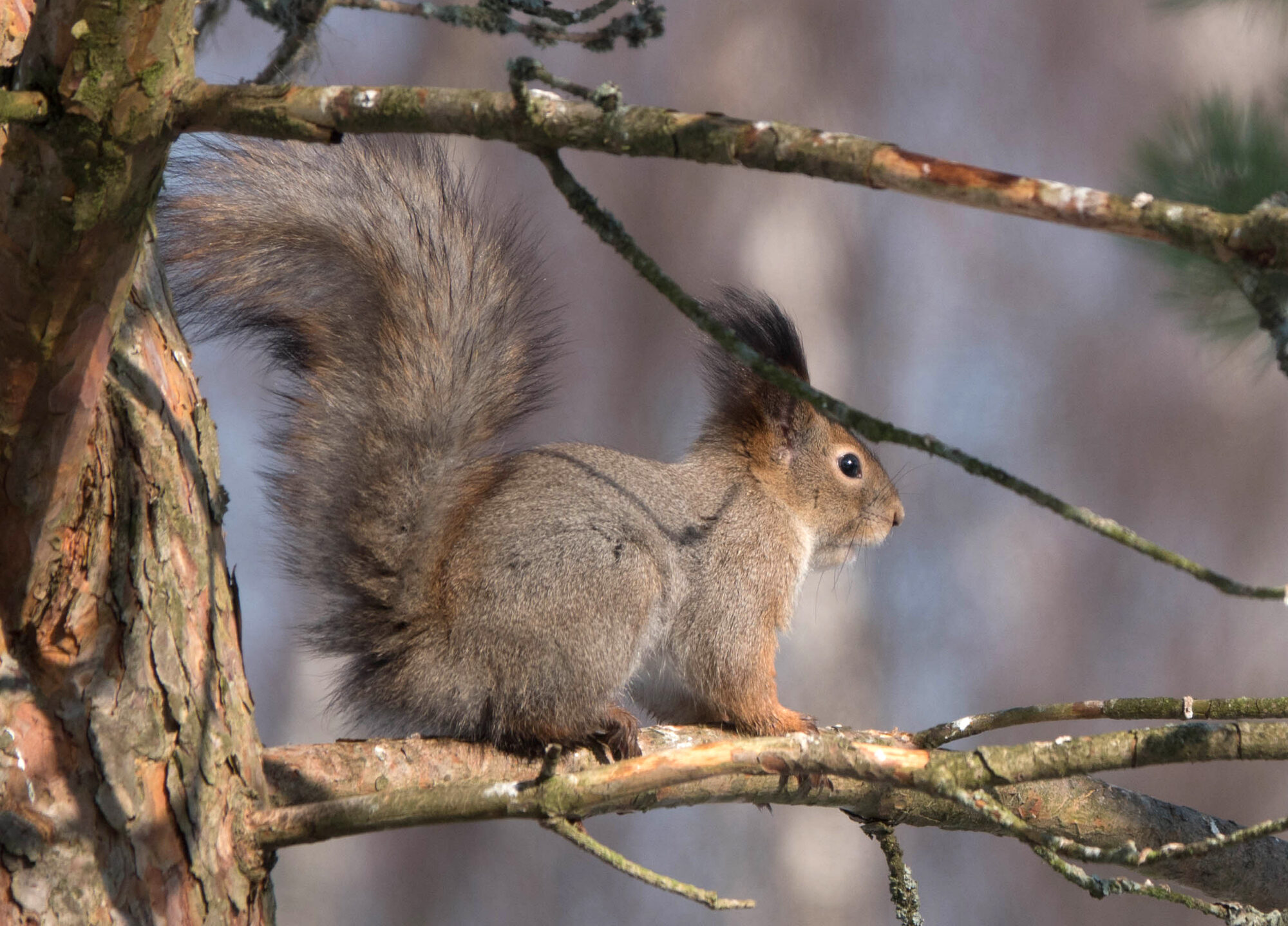 Valokuvaaja: Irma Kortekallio