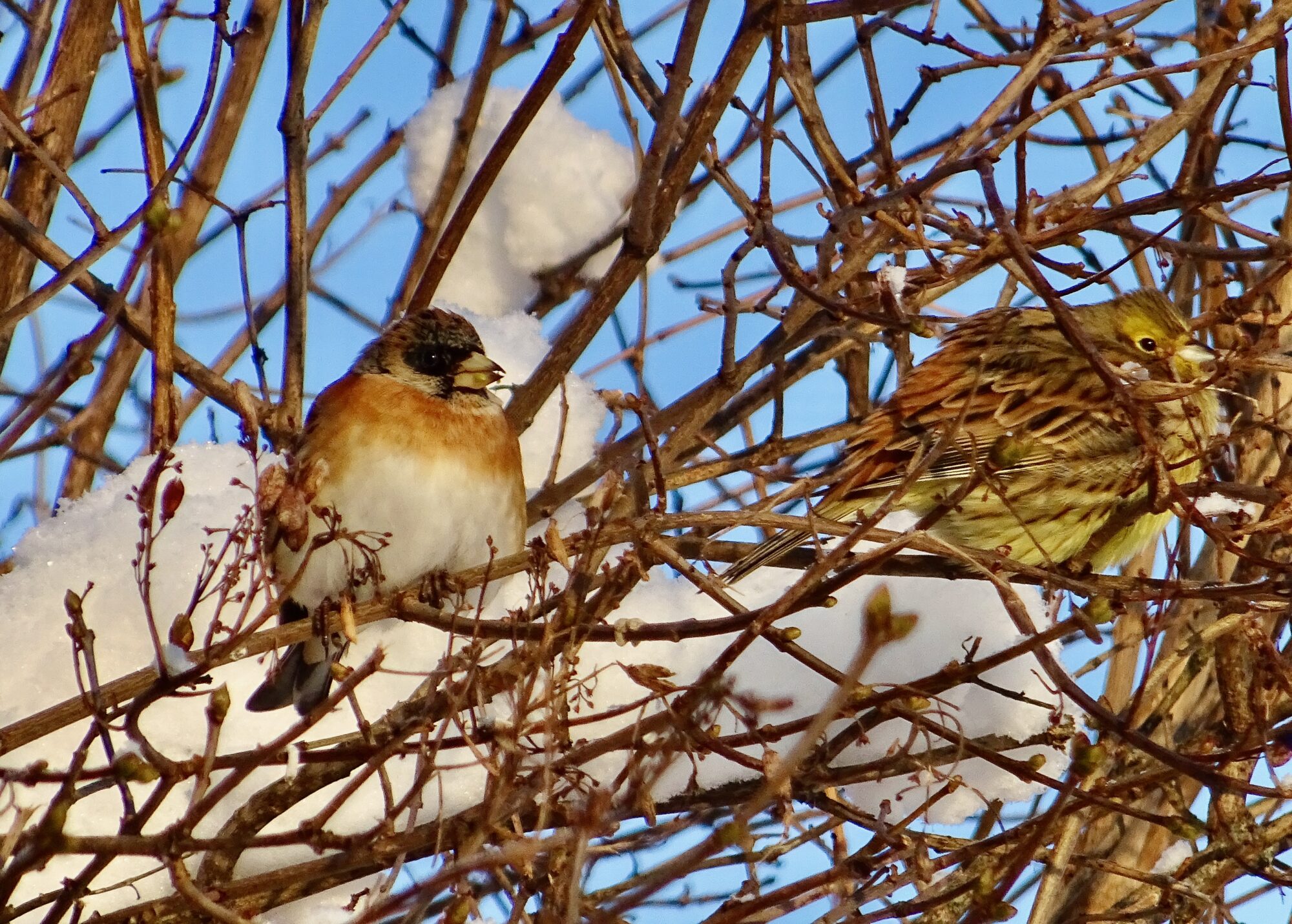 Valokuvaaja: Liisa Niiva-Korpela