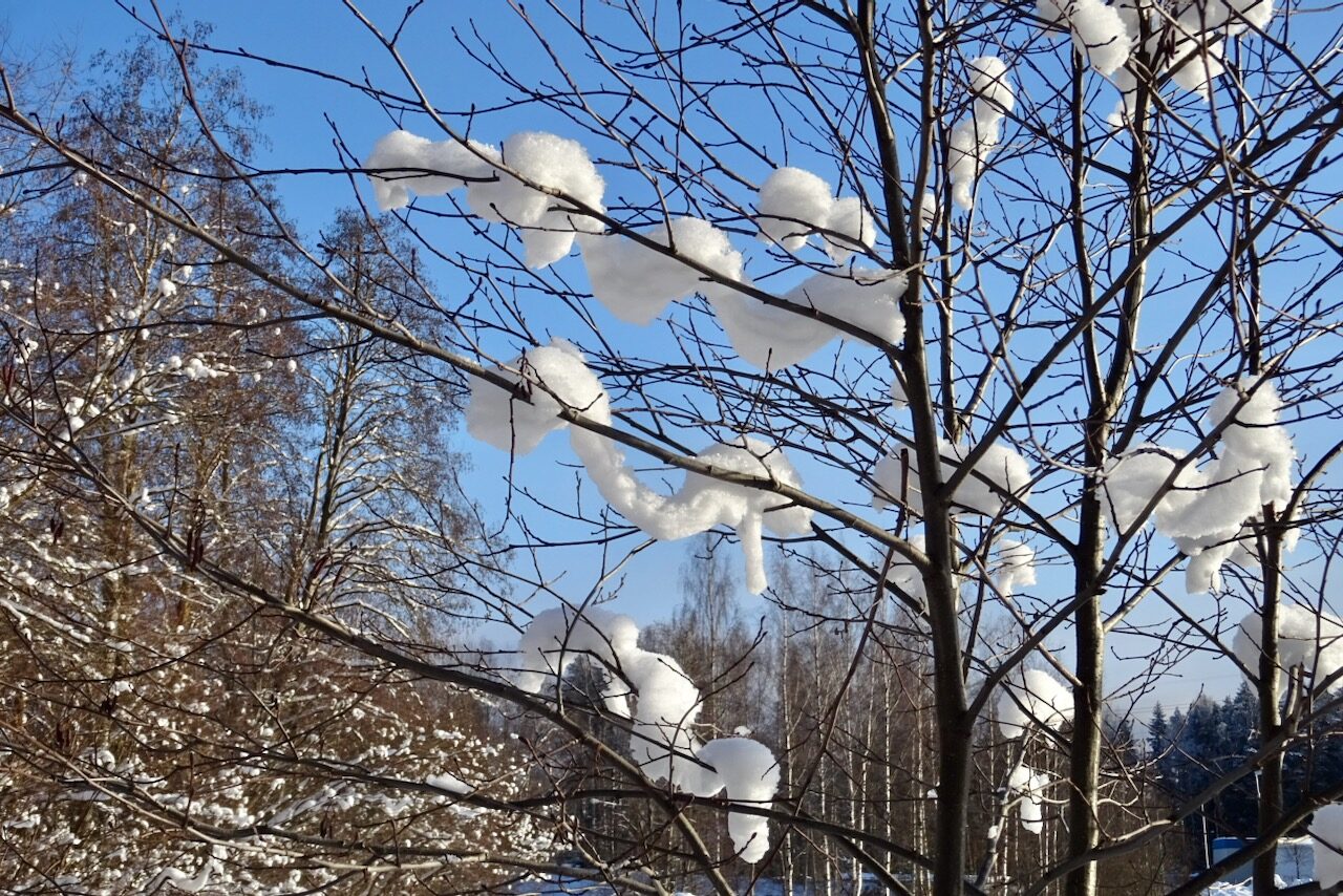Valokuvaaja: Liisa Niiva-Korpela Valokuvaaja: Liisa Niiva-Korpela