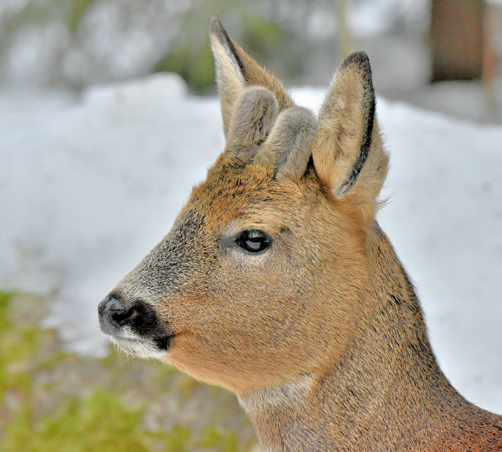 Valokuvaaja: Reijo Juurinen