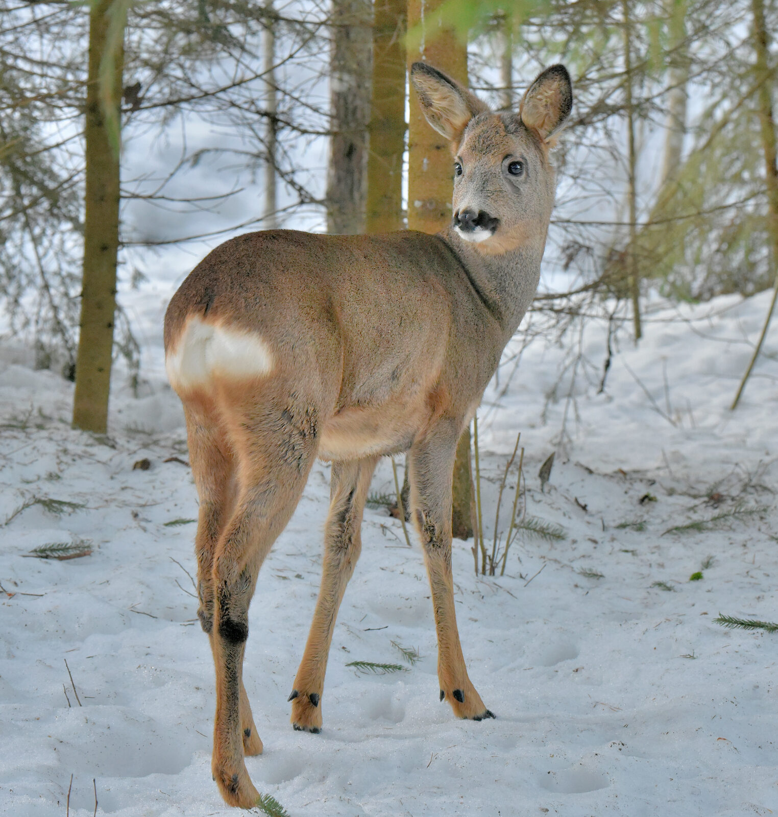 Valokuvaaja: Reijo Juurinen