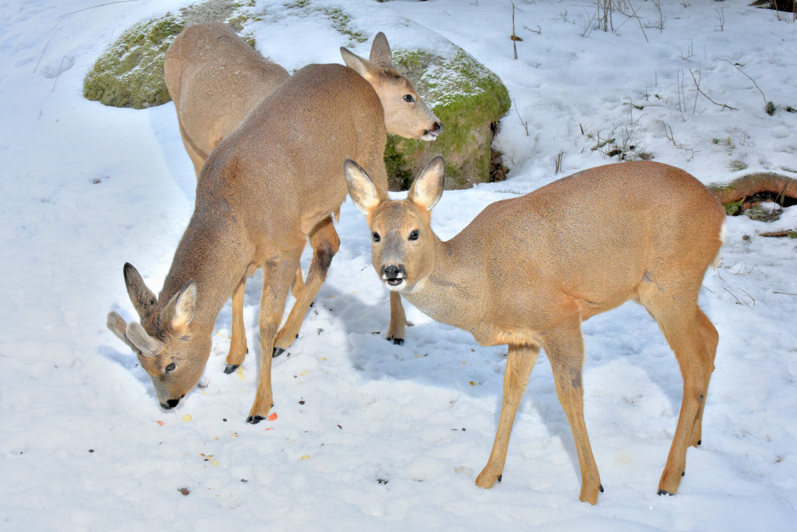 Valokuvaaja: Reijo Juurinen