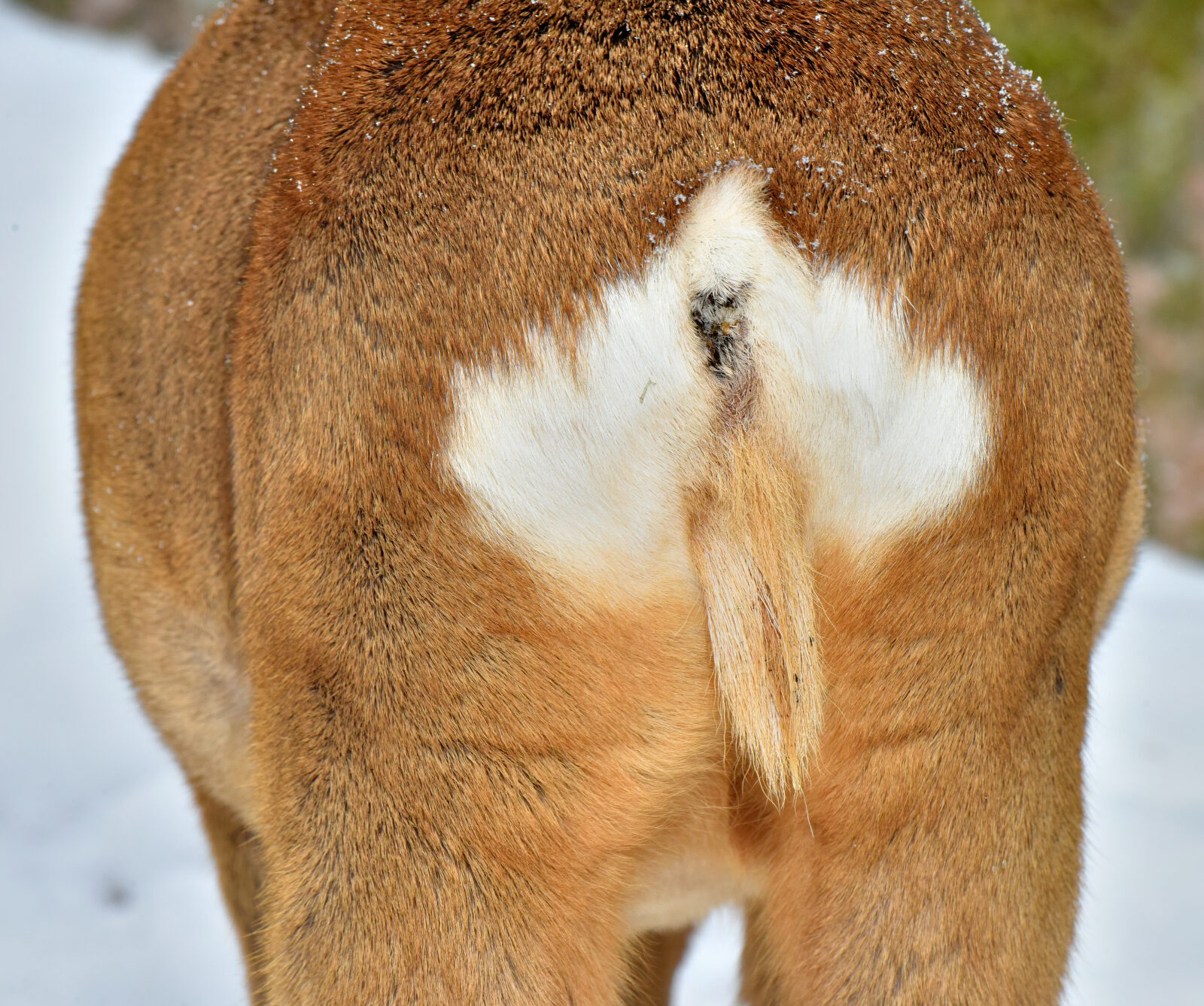 Valokuvaaja: Reijo Juurinen