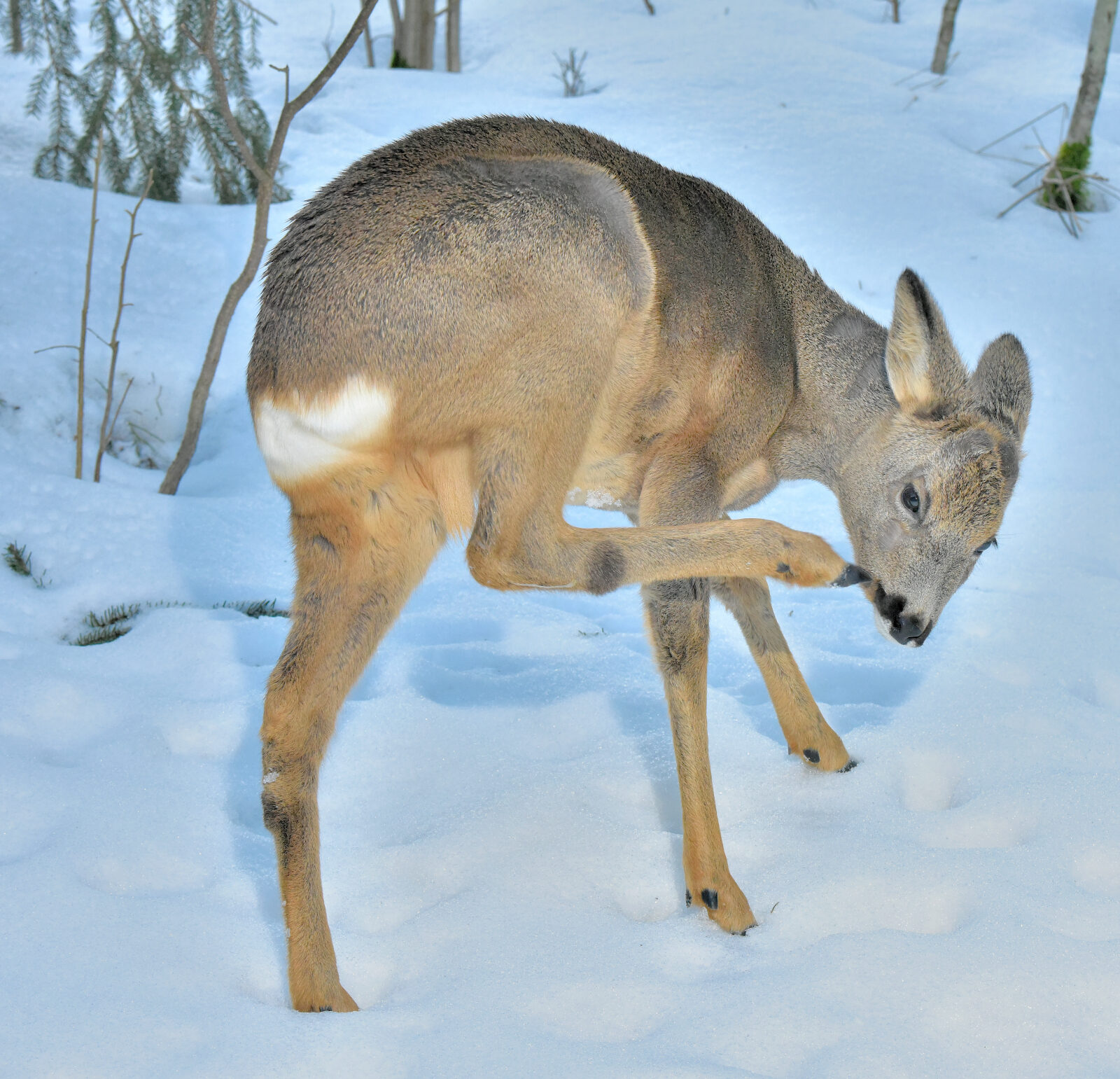 Valokuvaaja: Reijo Juurinen