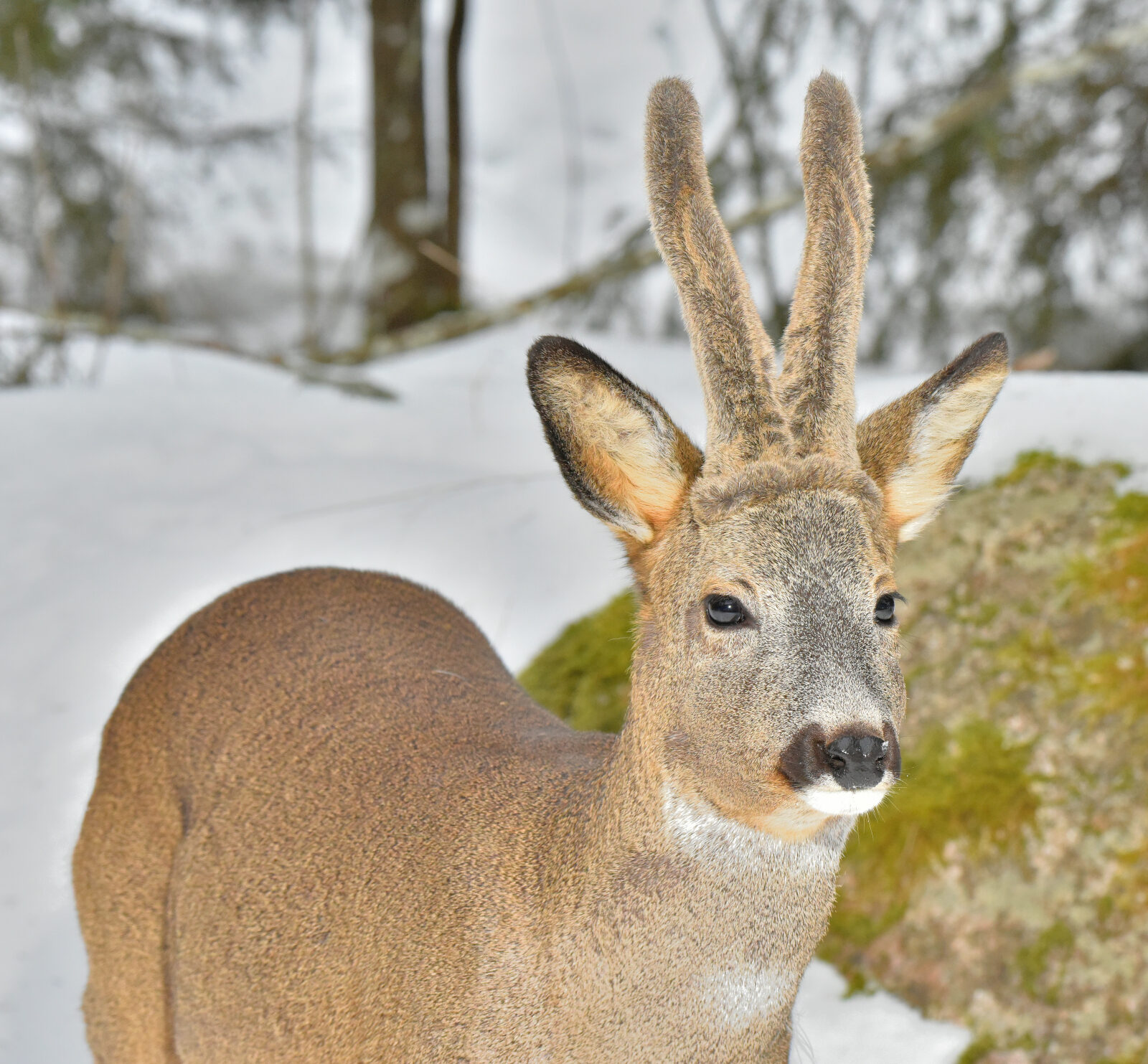 Valokuvaaja: Reijo Juurinen