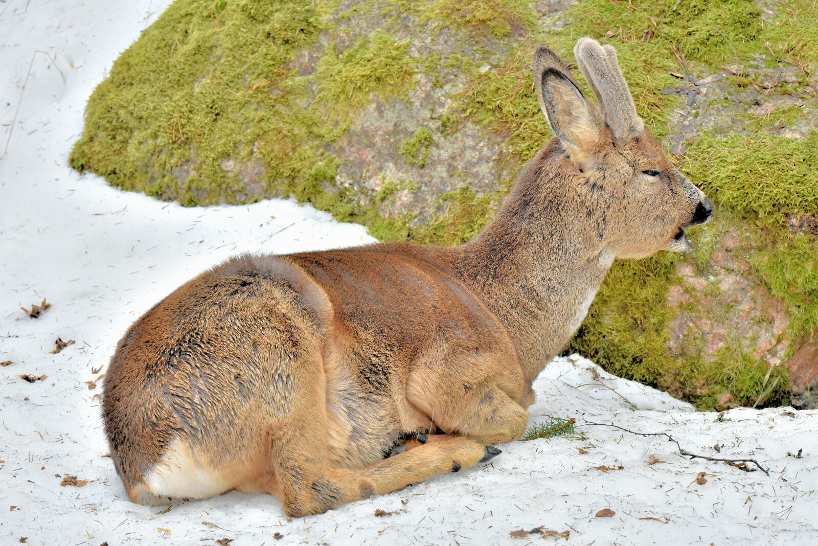 Valokuvaaja: Reijo Juurinen