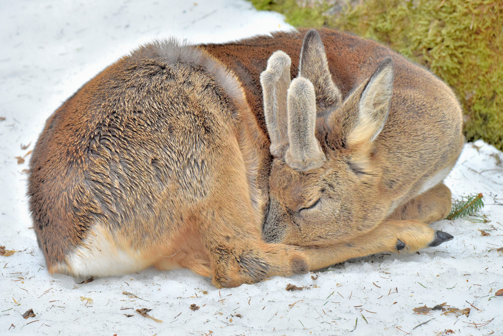 Valokuvaaja: Reijo Juurinen