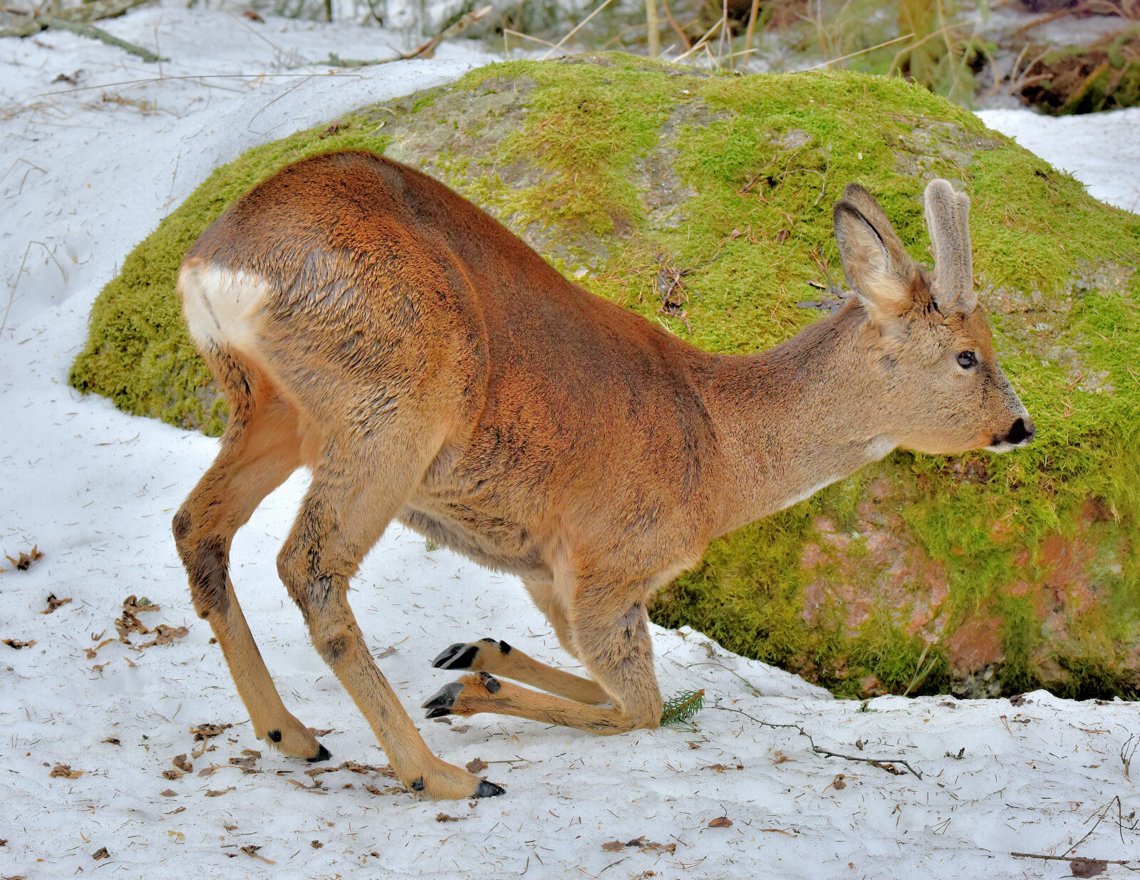 Valokuvaaja: Reijo Juurinen