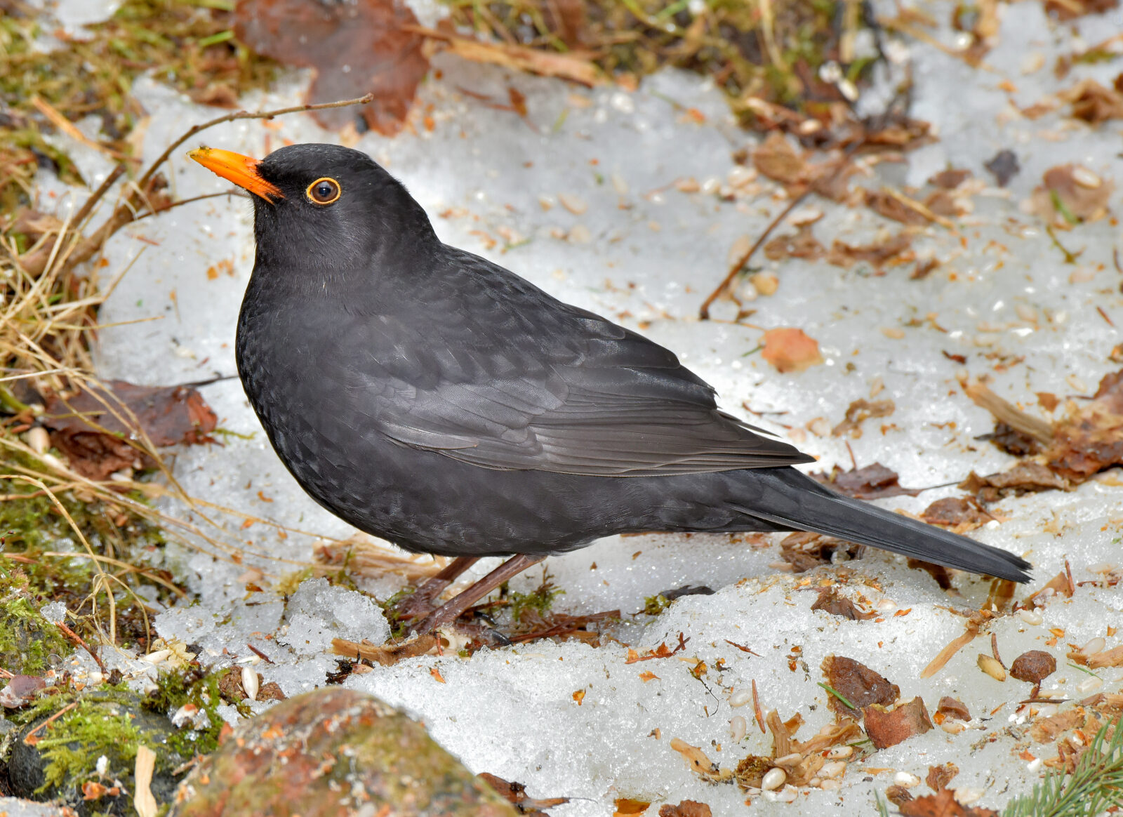Valokuvaaja: Reijo Juurinen