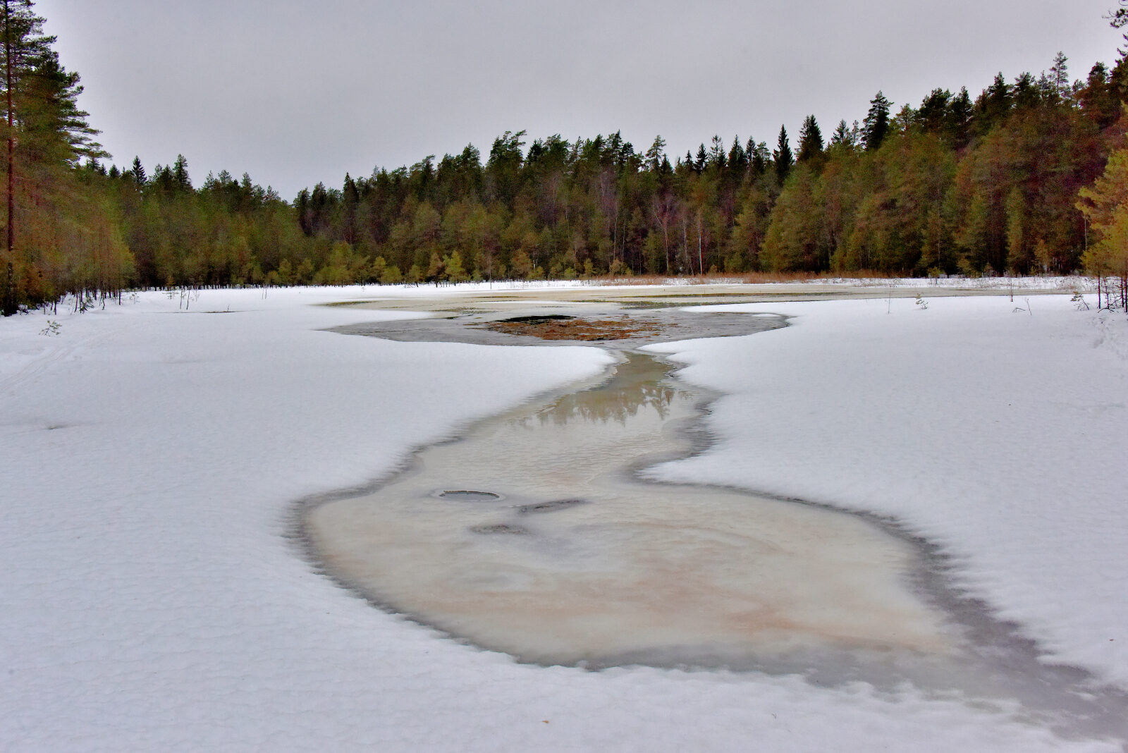 Valokuvaaja: Reijo Juurinen