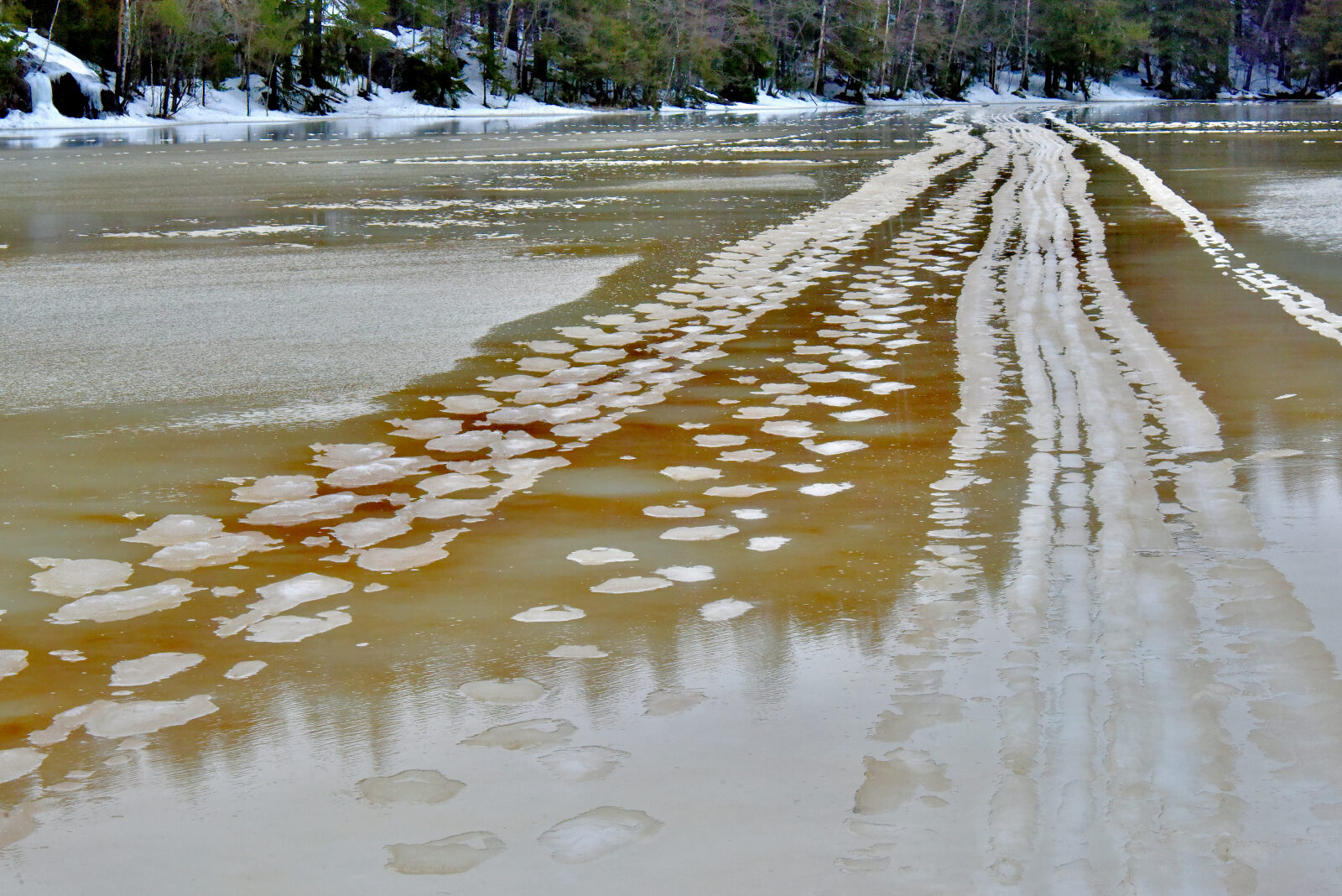 Valokuvaaja: Reijo Juurinen