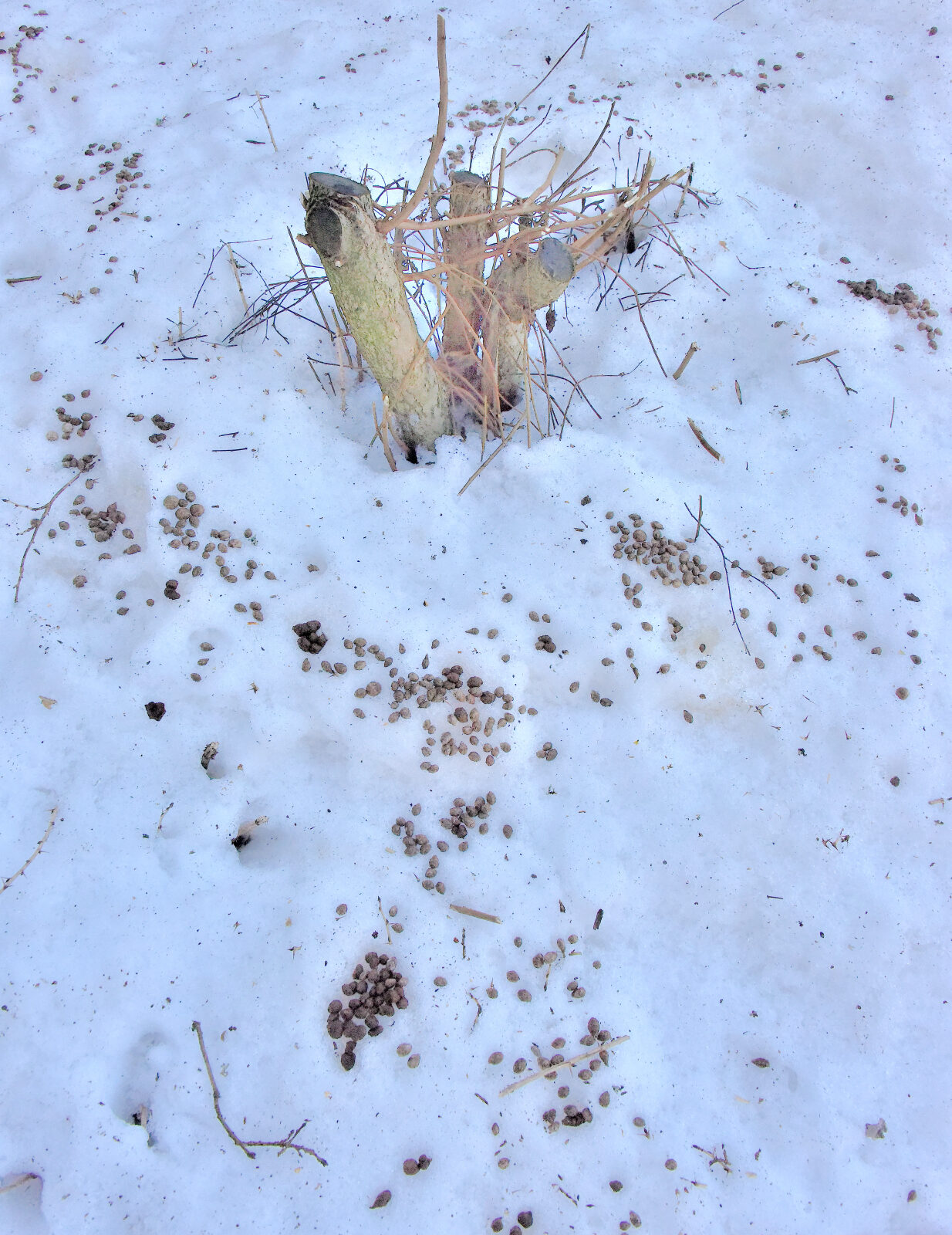 Valokuvaaja: Reijo Juurinen Valokuvaaja: Reijo Juurinen