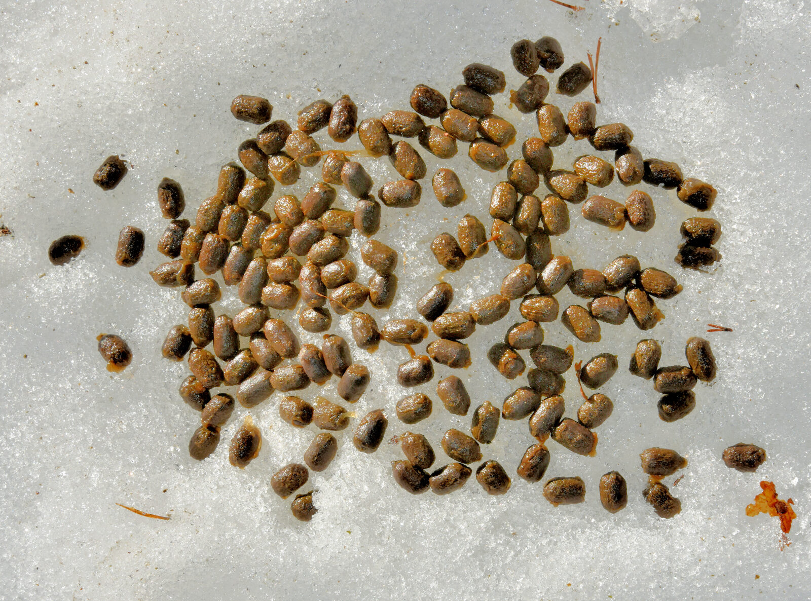 Valokuvaaja: Reijo Juurinen