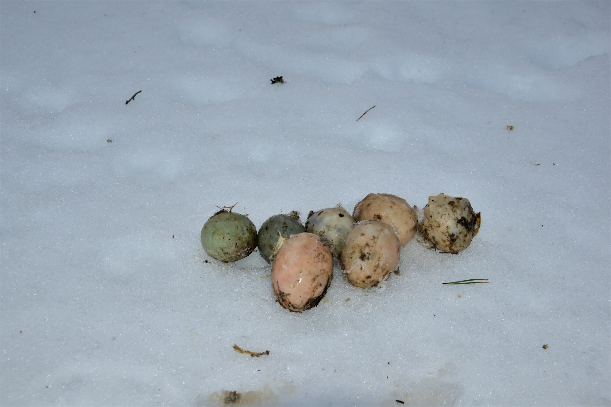 Valokuvaaja: Lahja Toivanen