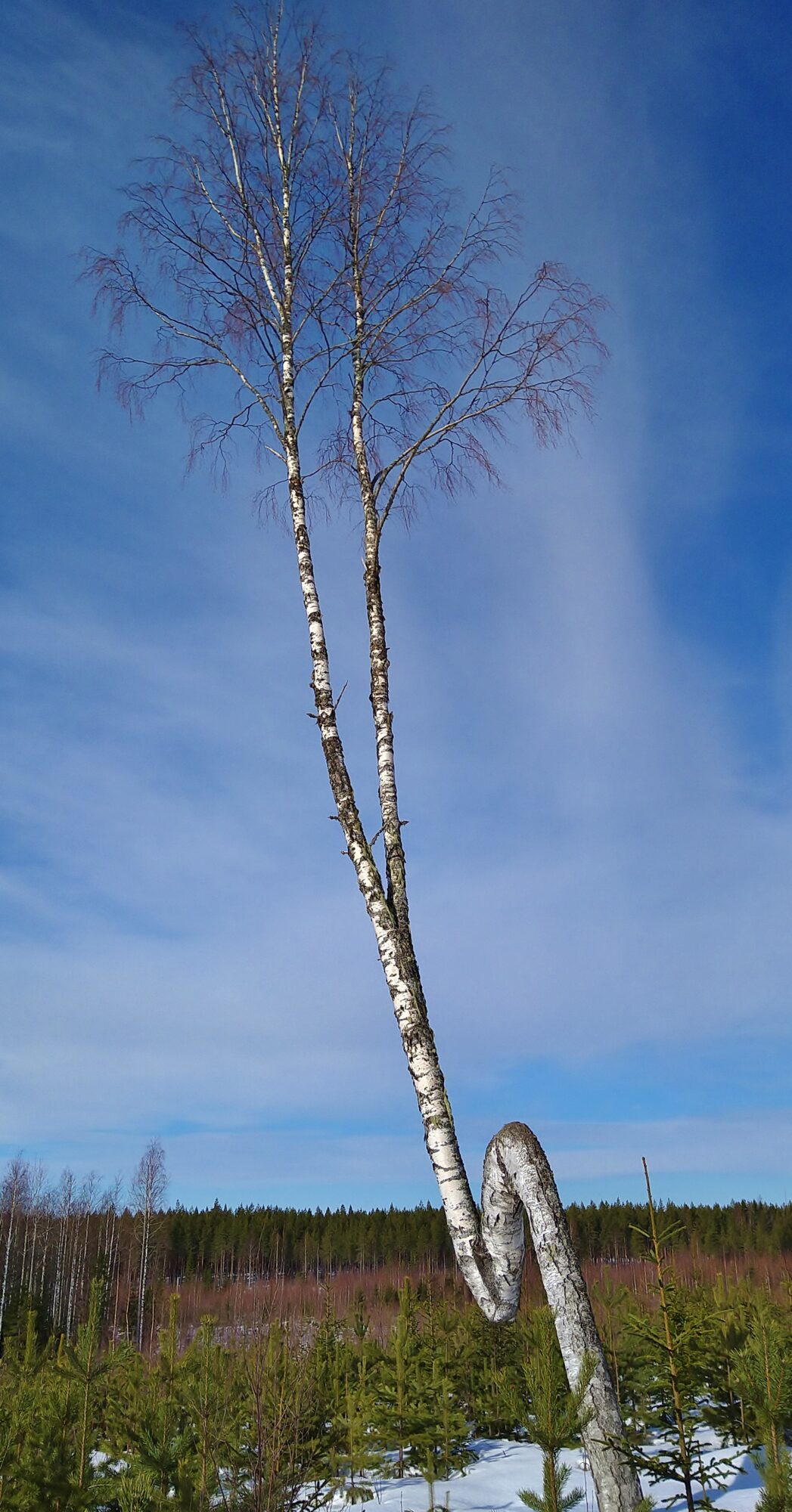 Valokuvaaja: Markku Pelkonen
