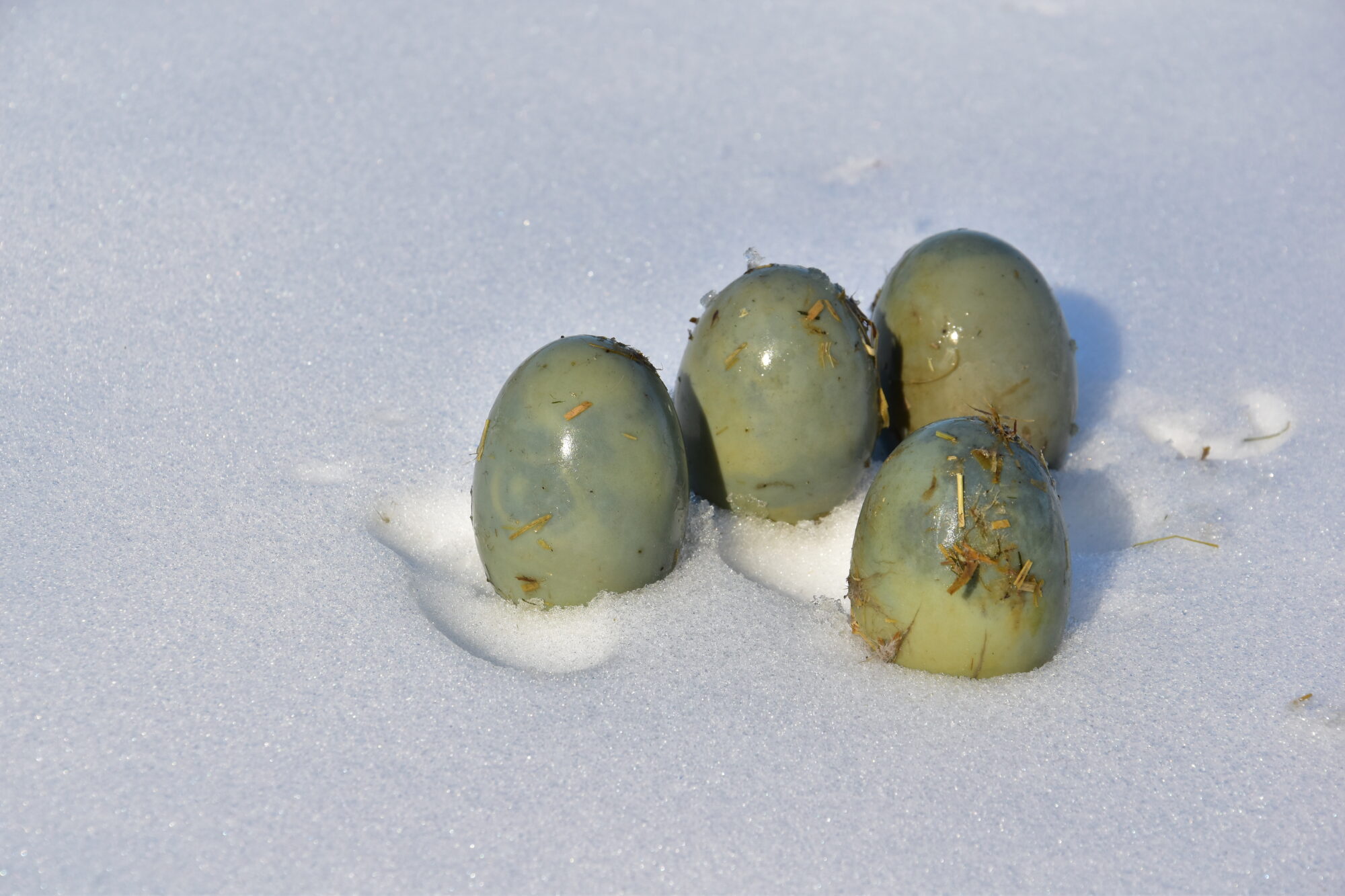 Valokuvaaja: Lahja Toivanen