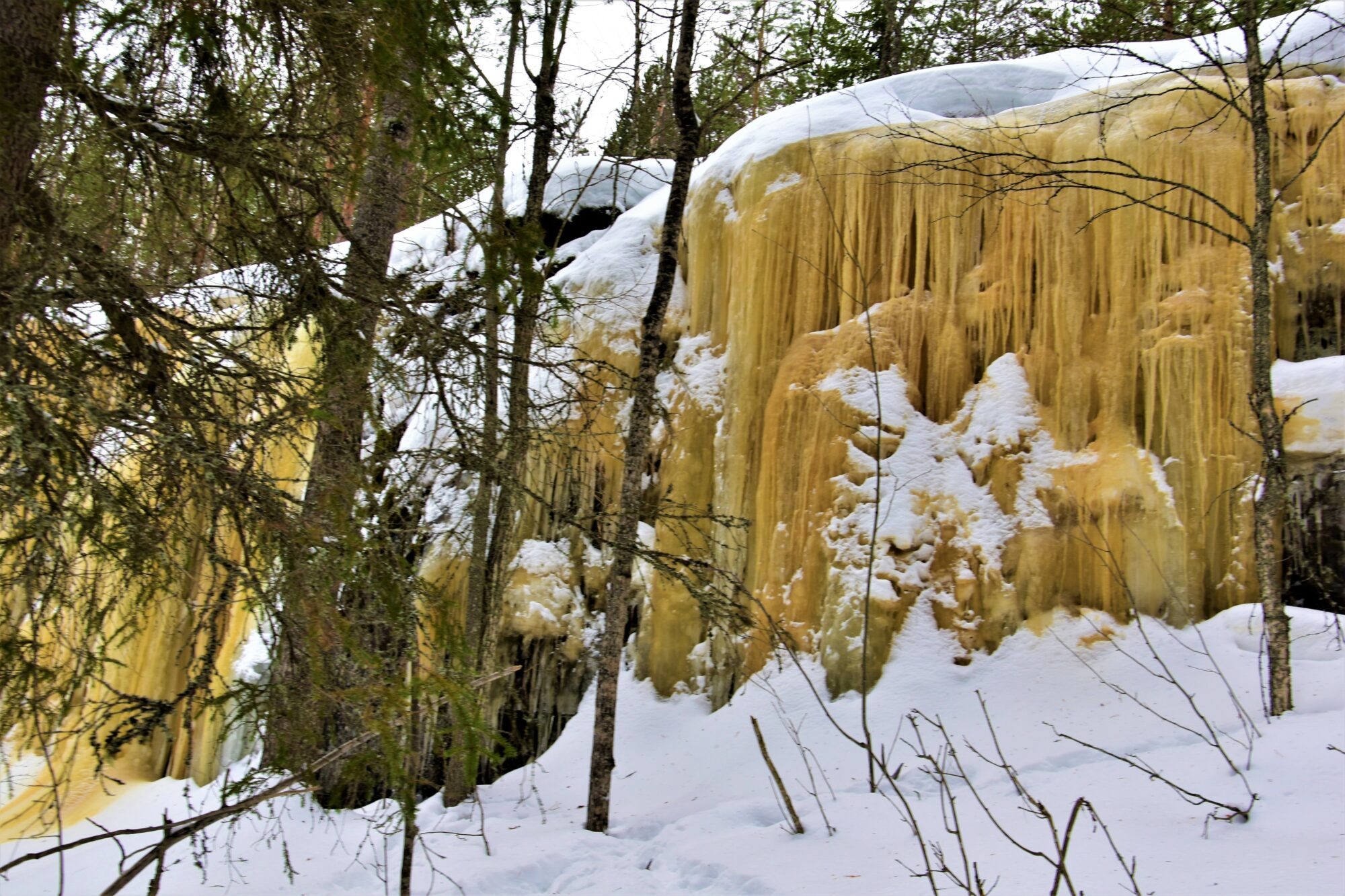 Valokuvaaja: Lahja Toivanen