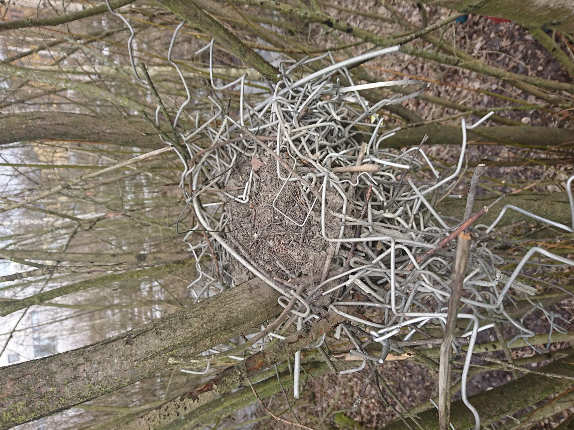 Valokuvaaja: Tomi Haapala