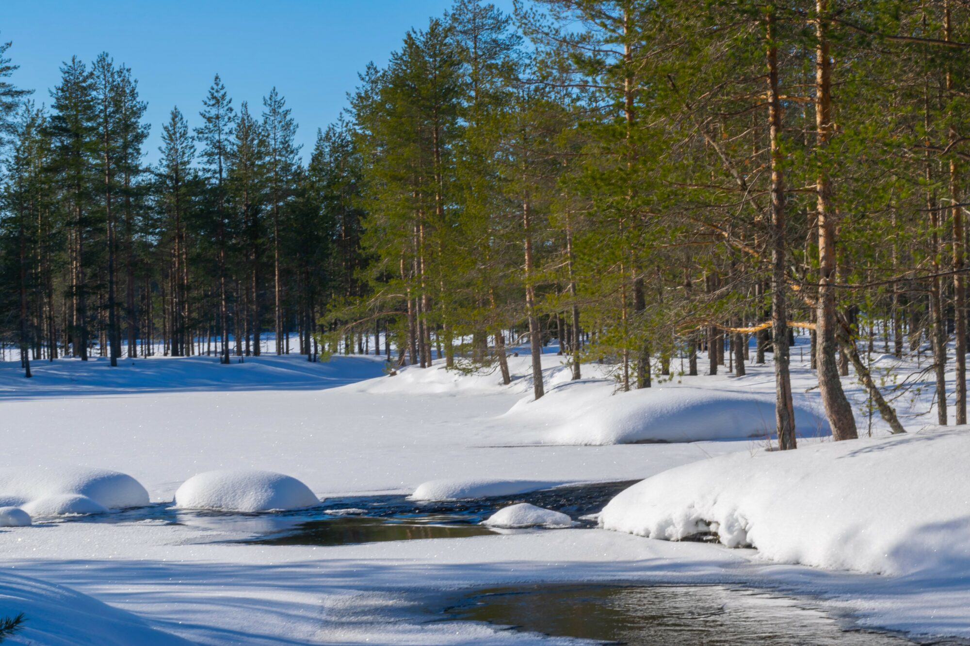 Valokuvaaja: Leena Rissanen