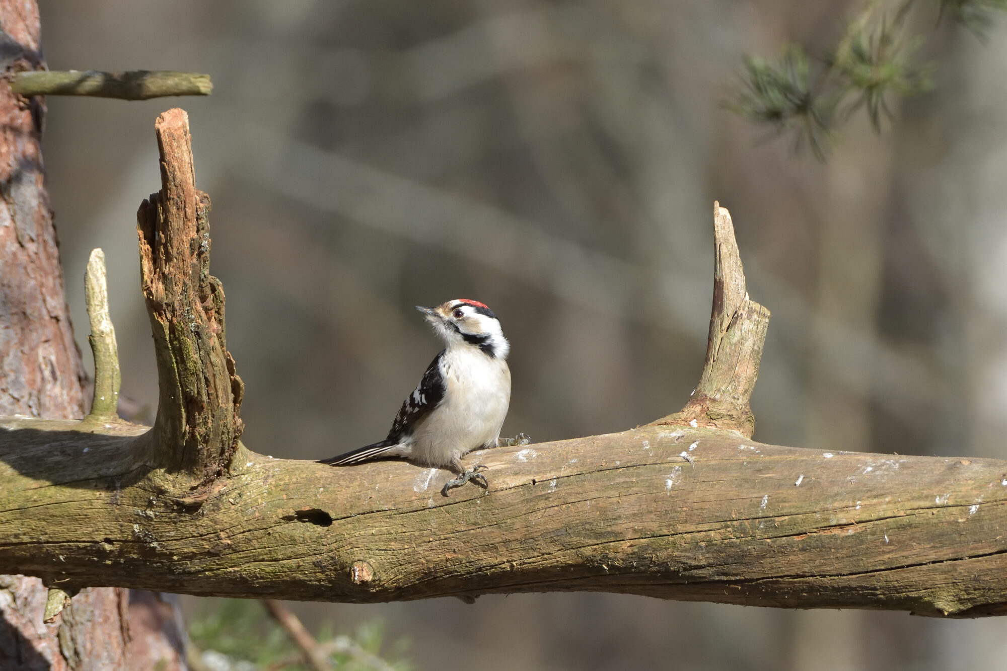 Valokuvaaja: Asko Heikkinen Valokuvaaja: Asko Heikkinen