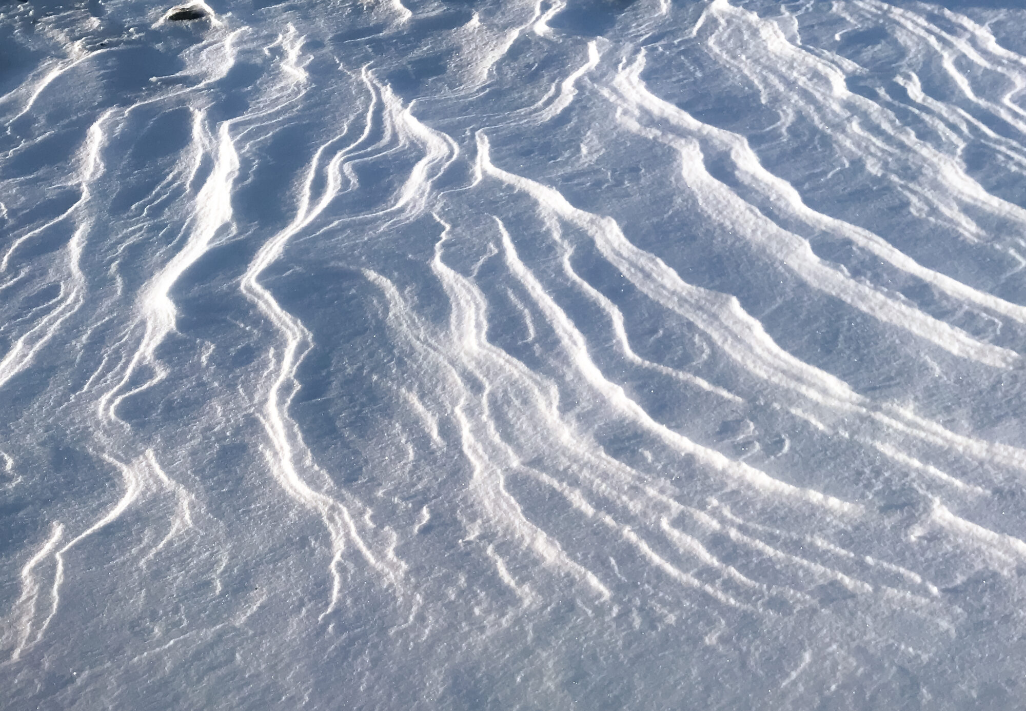 Valokuvaaja: Anne Patana