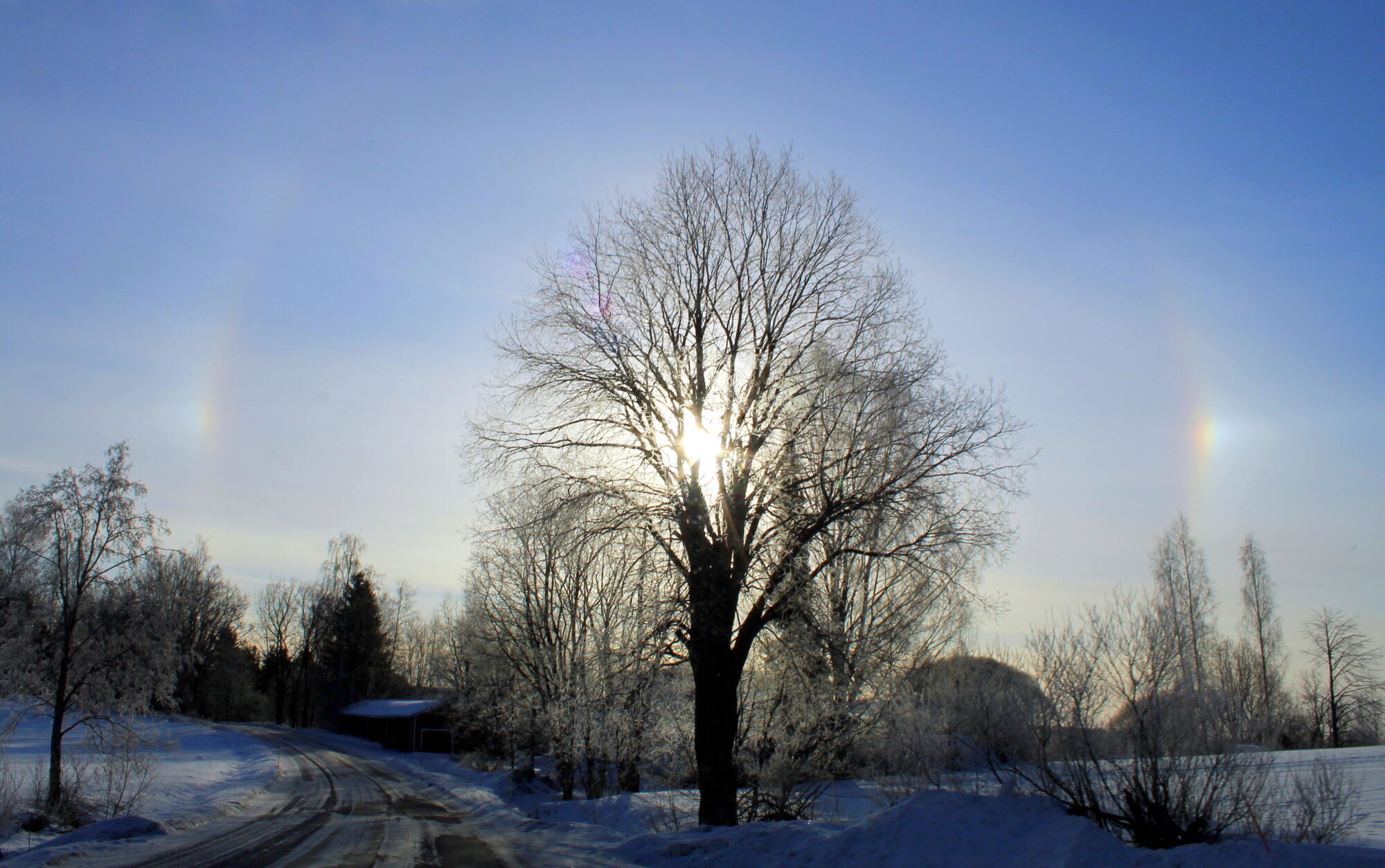 Valokuvaaja: Paula Savelius