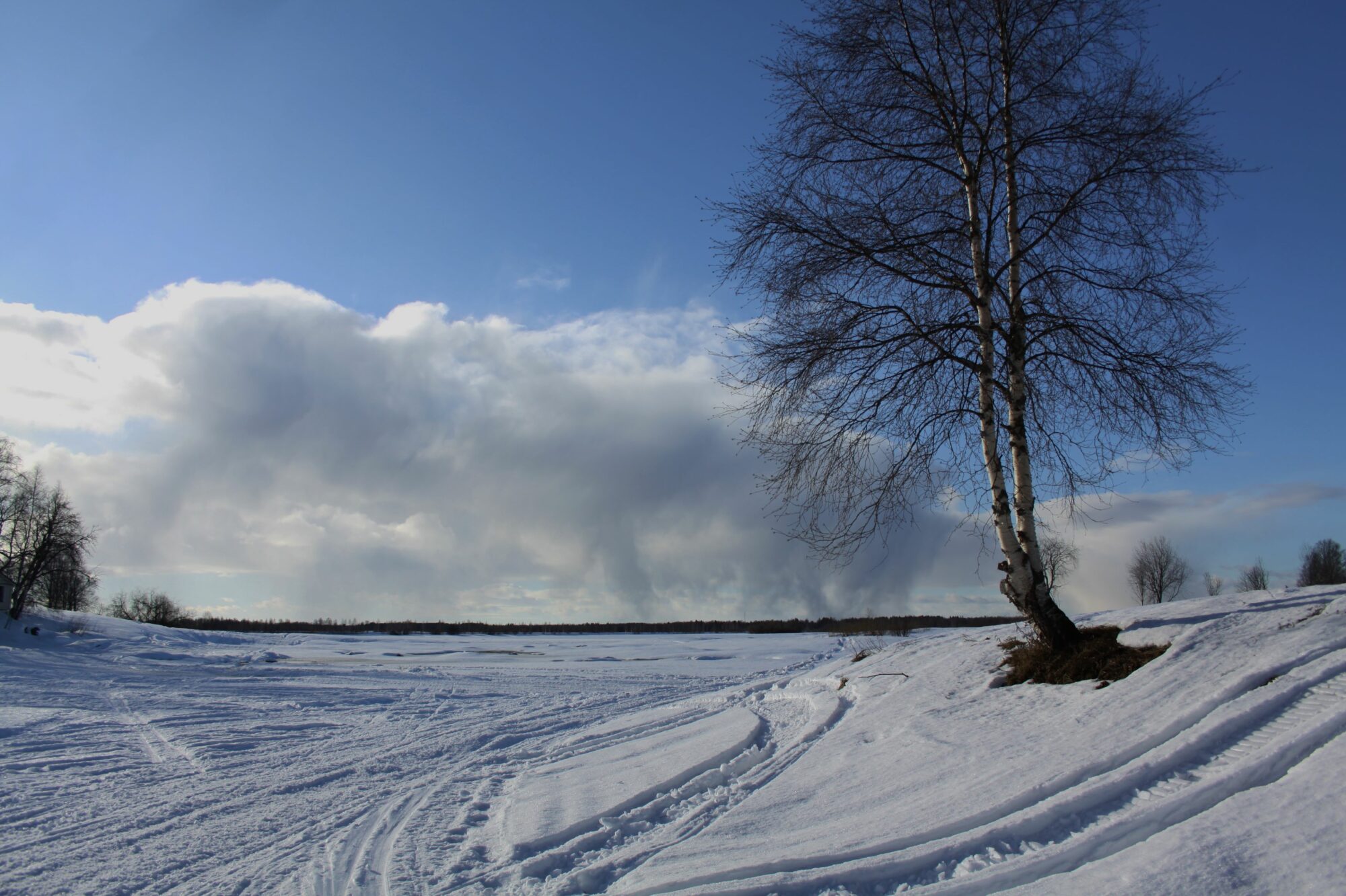 Valokuvaaja: Pirkko Siukonen